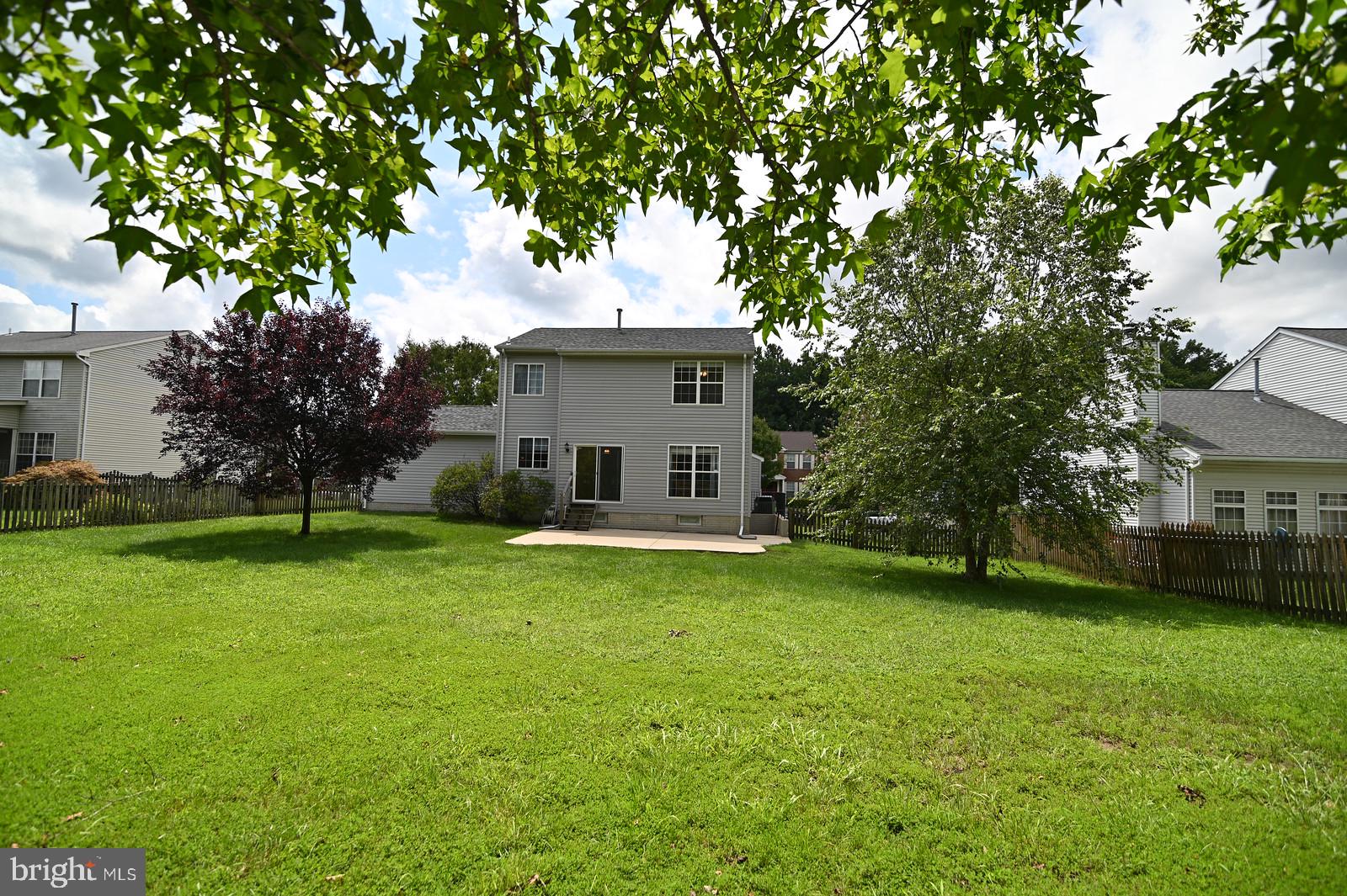 CEDAR TREE - Residential