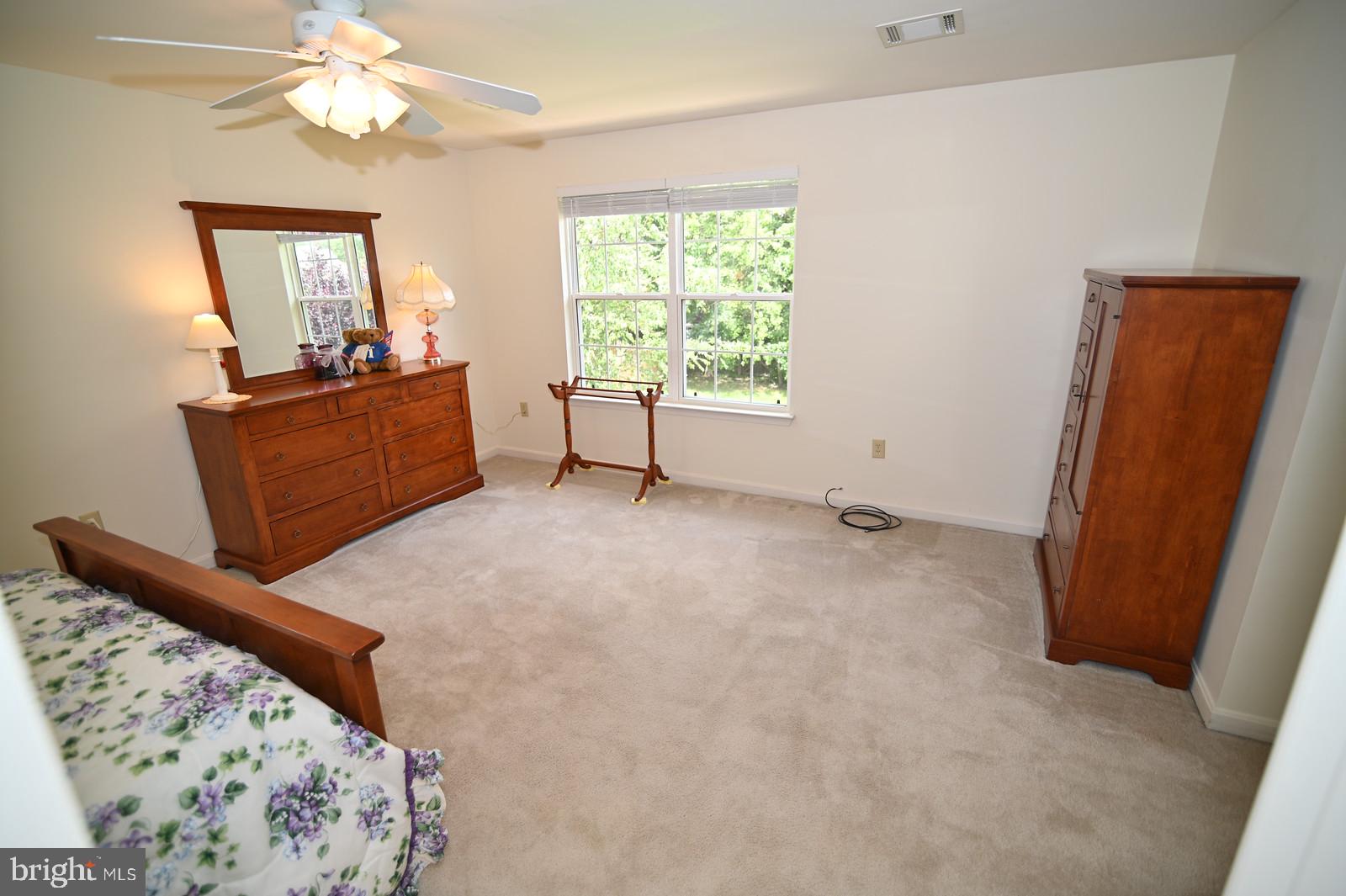 CEDAR TREE - Residential