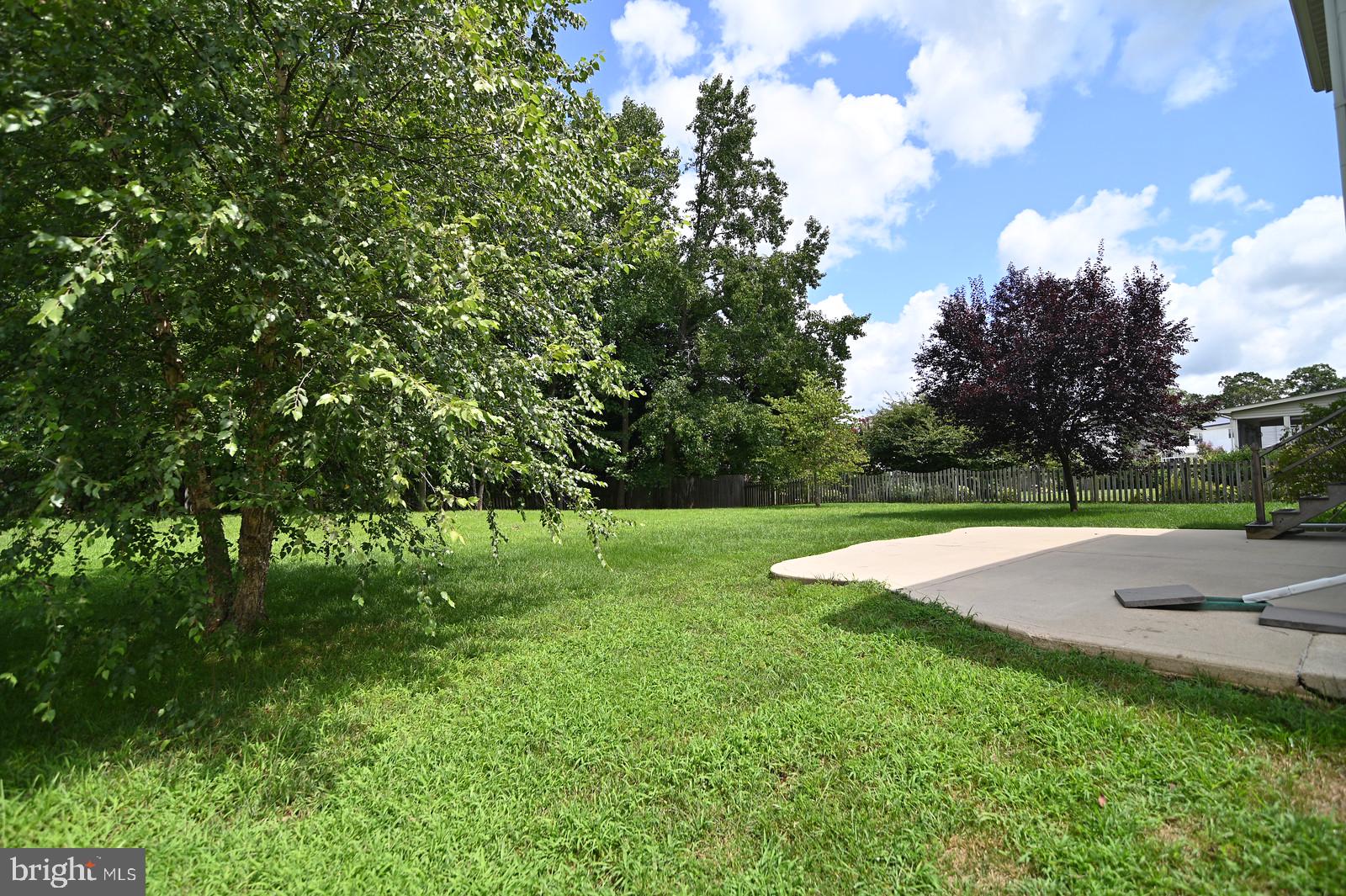 CEDAR TREE - Residential