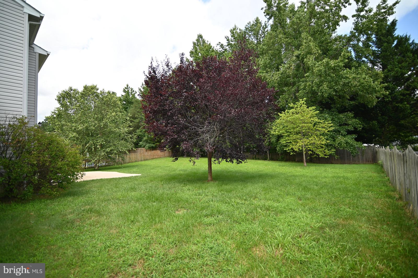 CEDAR TREE - Residential