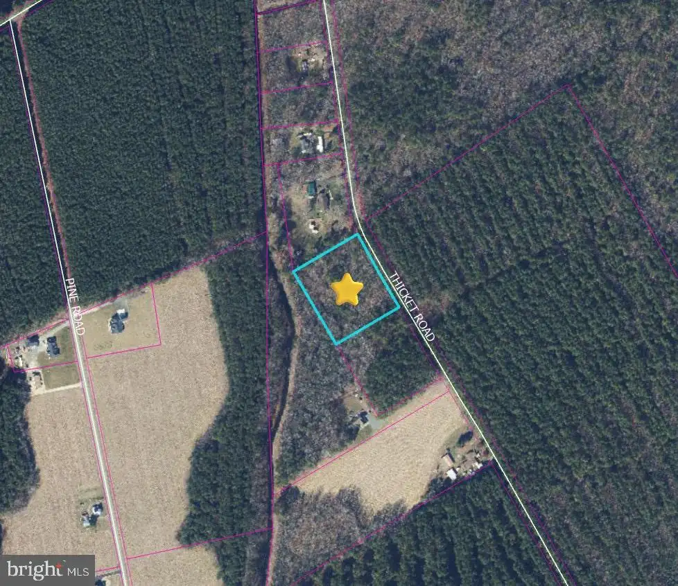 Additional image 5 of Thicket Rd, Milton, DE 19968