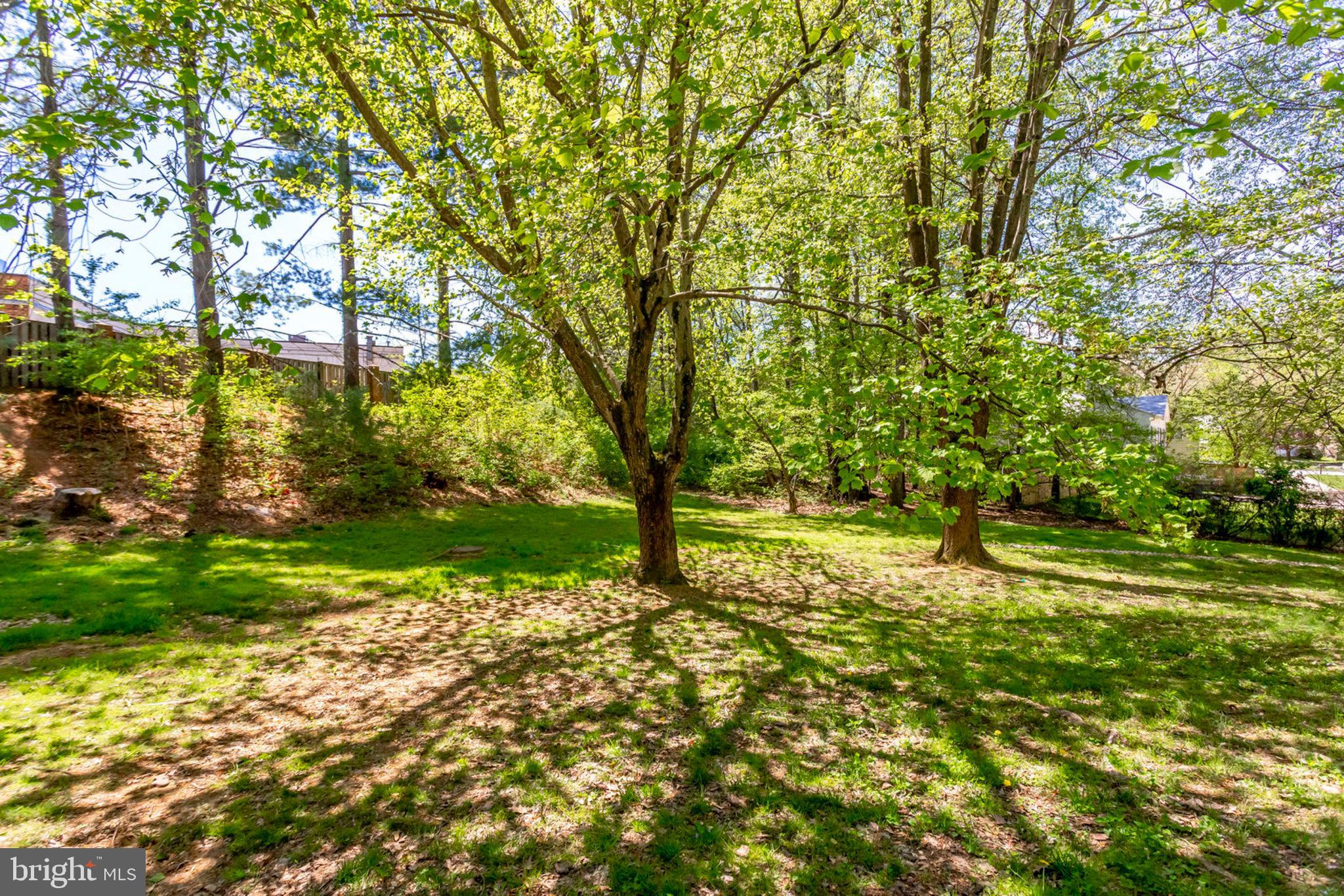 OLD MILL COMMUNITY - Residential