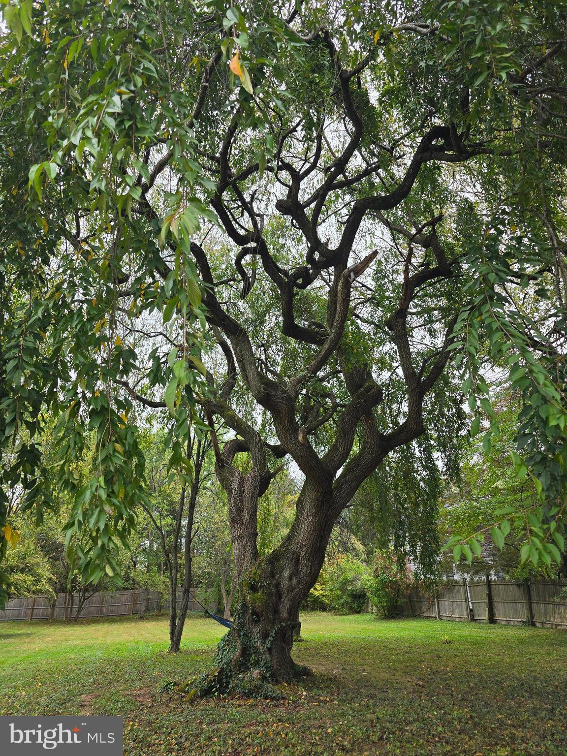 NANLYN FARMS - Residential