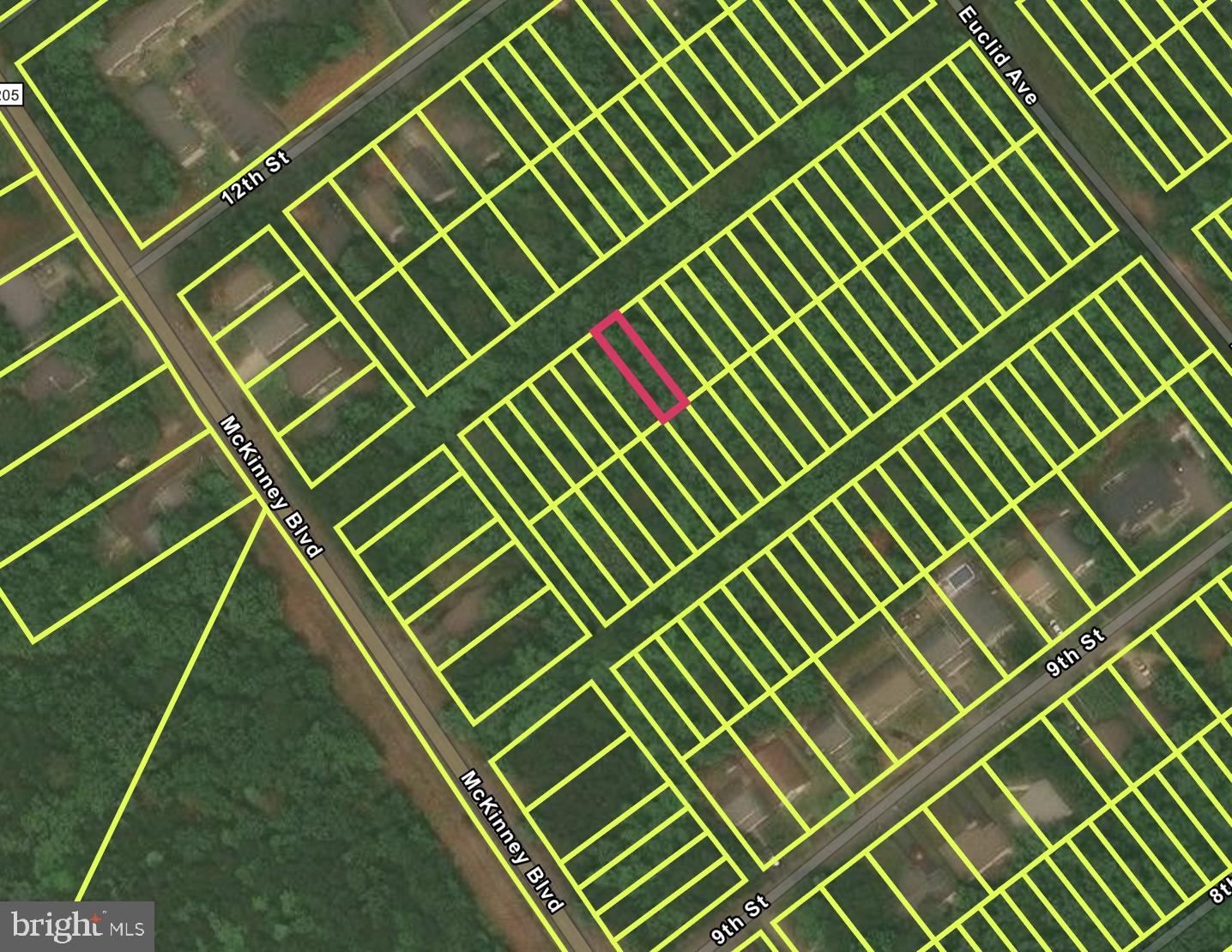 CLASSIC SHORES - Land