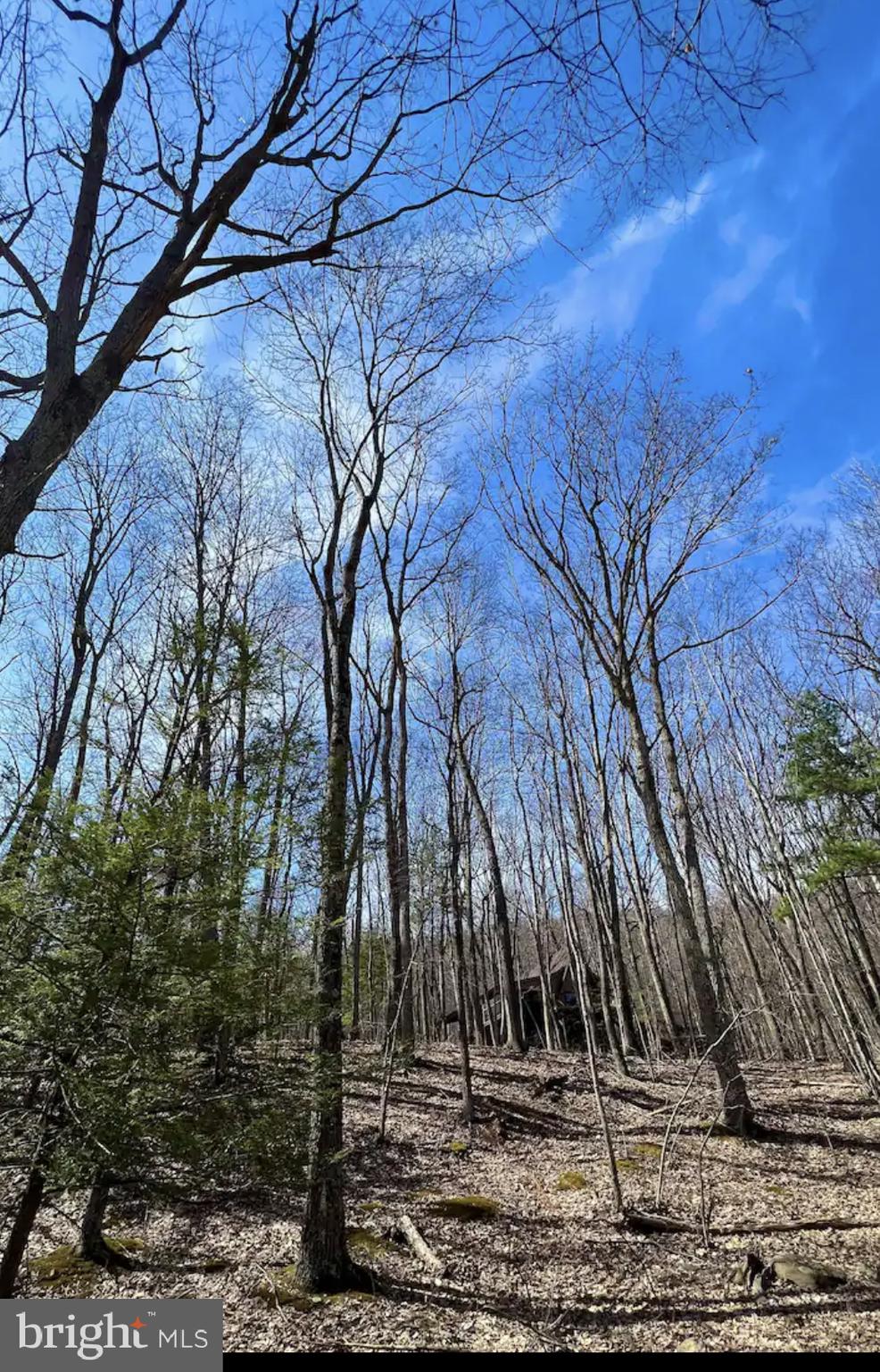 COOLFONT MOUNTAINSIDE - Residential