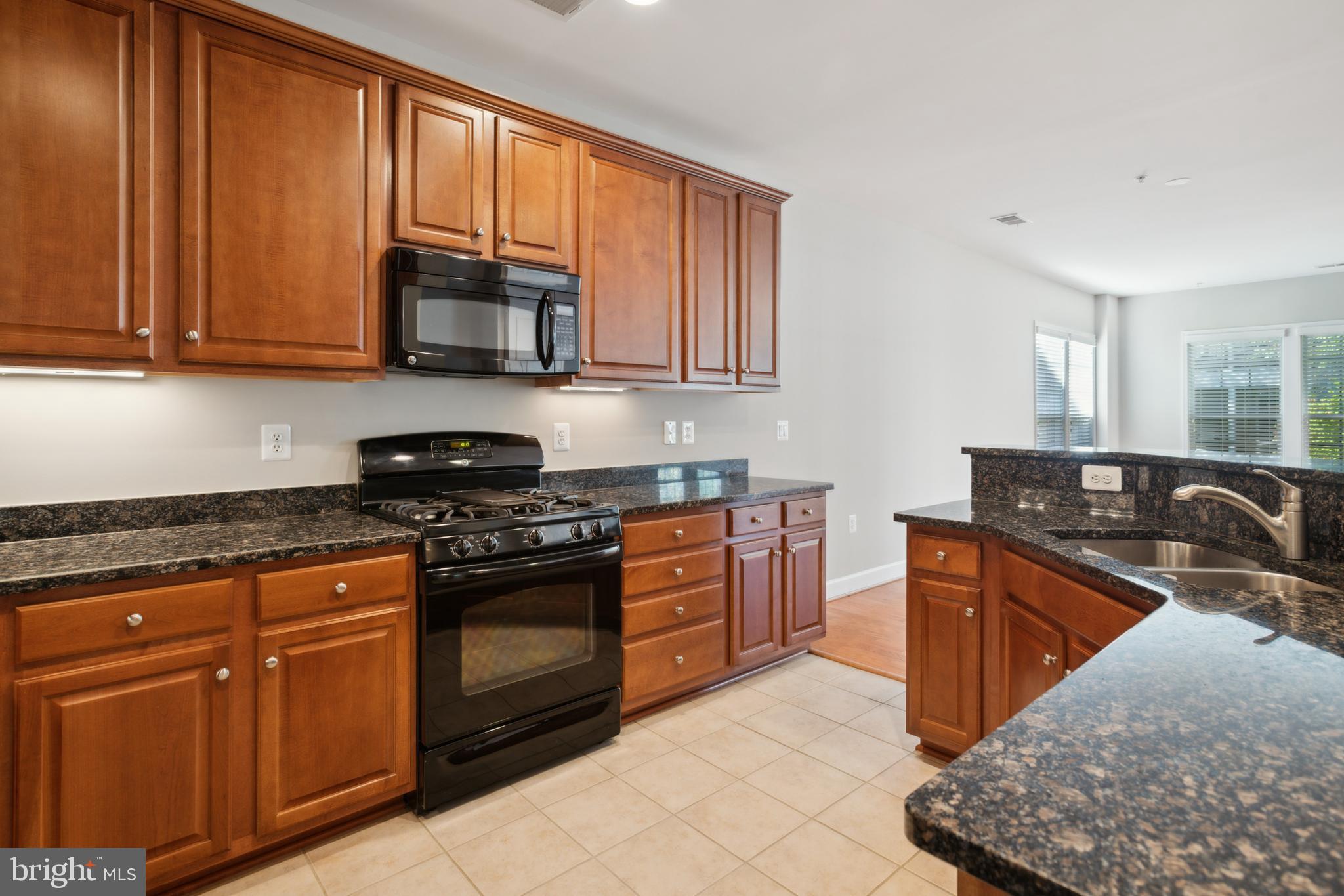 CELEBRATE VIRGINIA NORTH - Residential