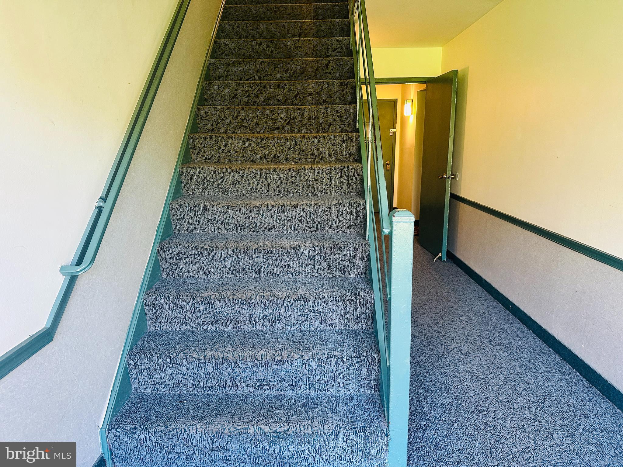 CARDINAL FOREST - Residential