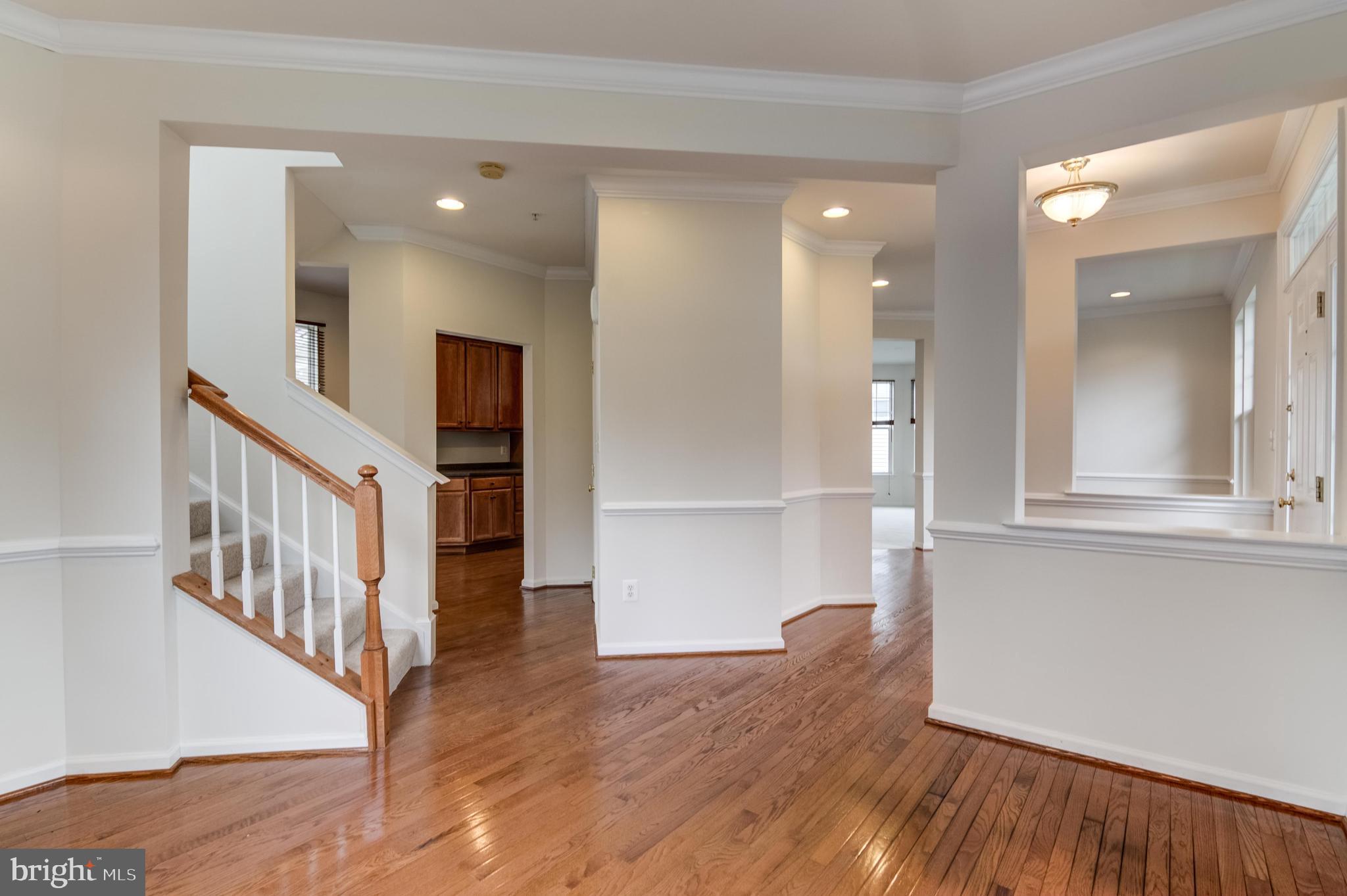 MEADOWS AT MORRIS FARM - Residential