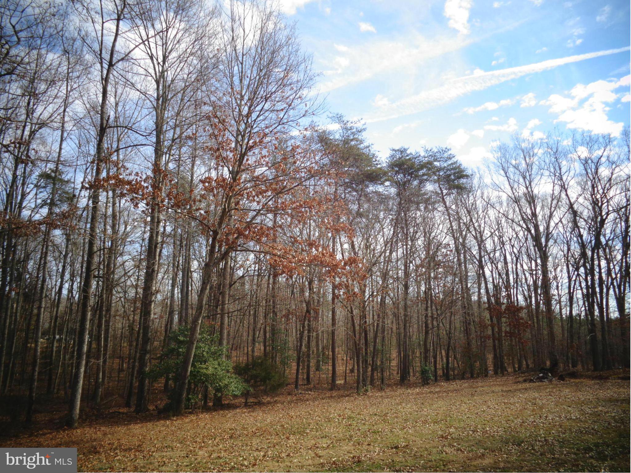 FISHER TRACT - Residential