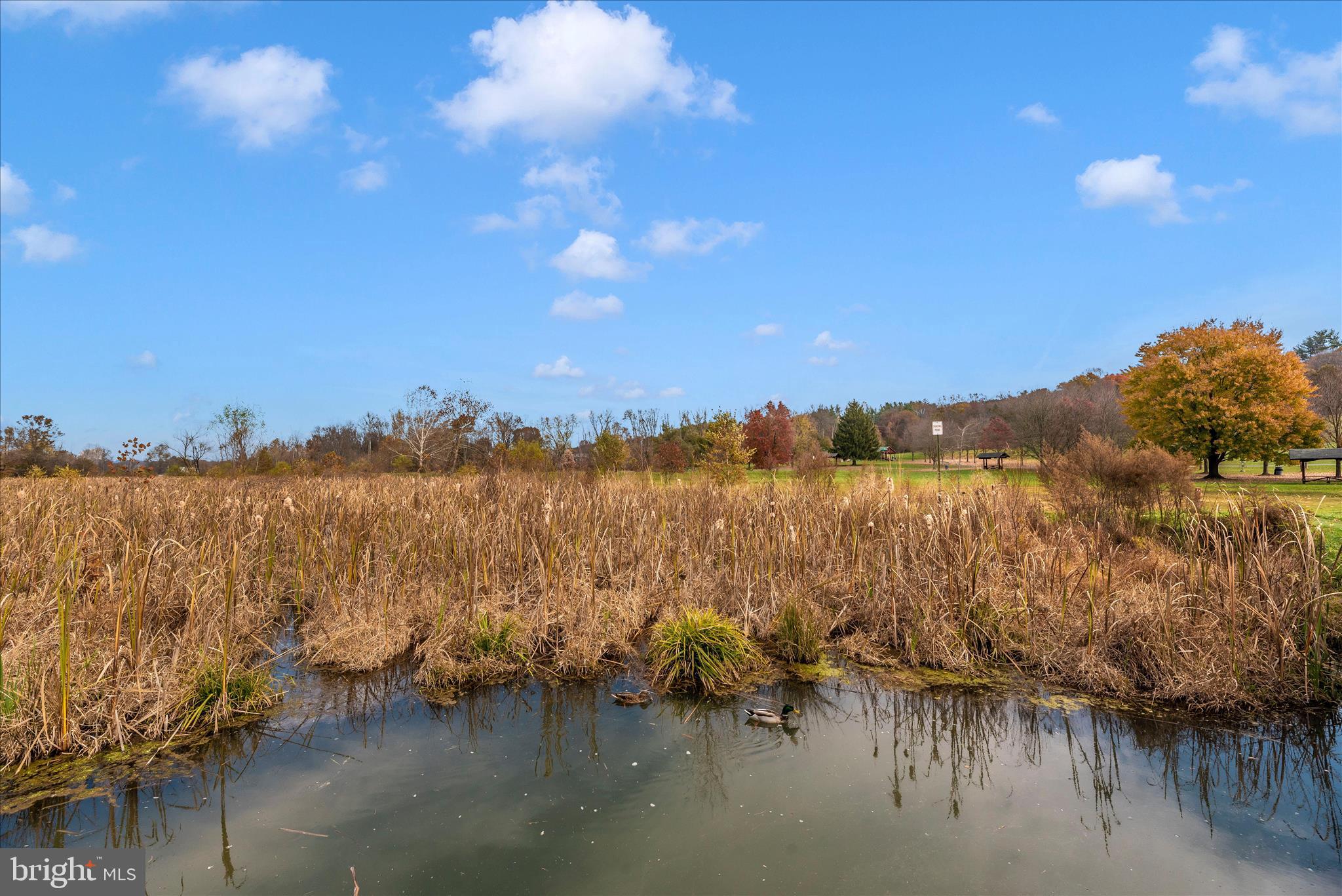 DOWNTOWN WOODSBORO - Residential