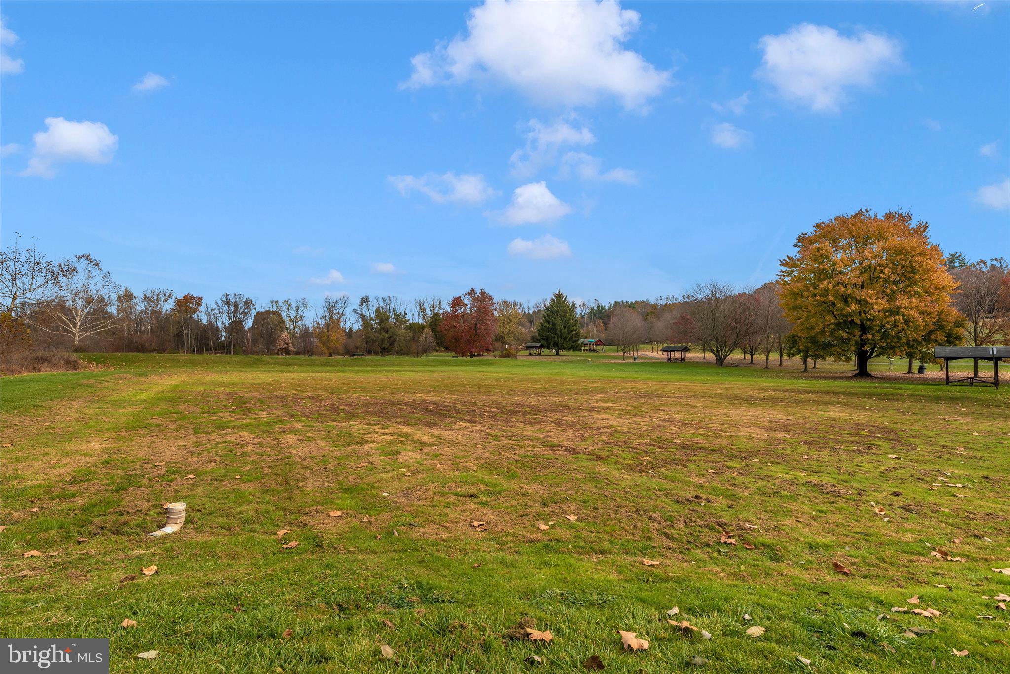DOWNTOWN WOODSBORO - Residential