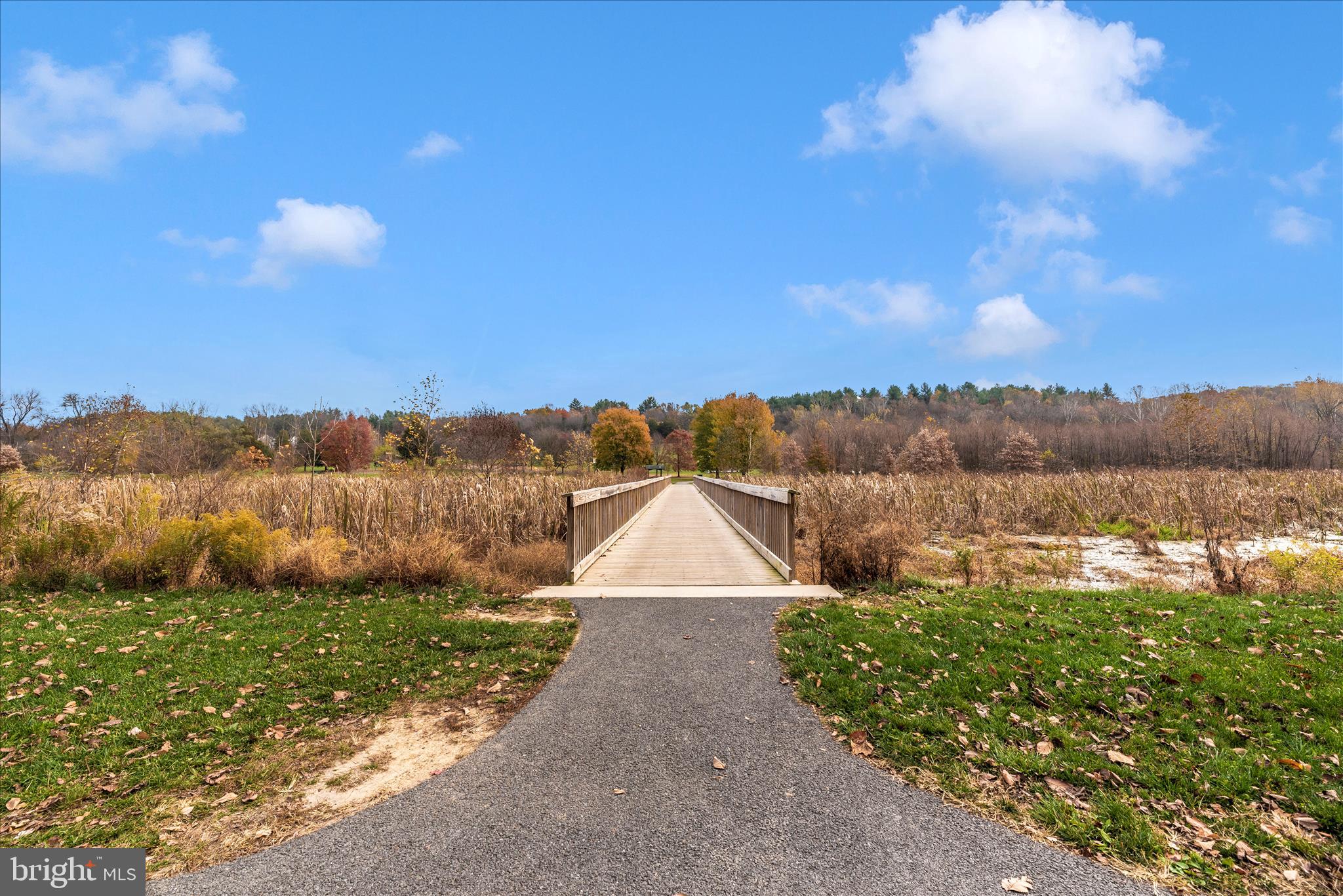 DOWNTOWN WOODSBORO - Residential