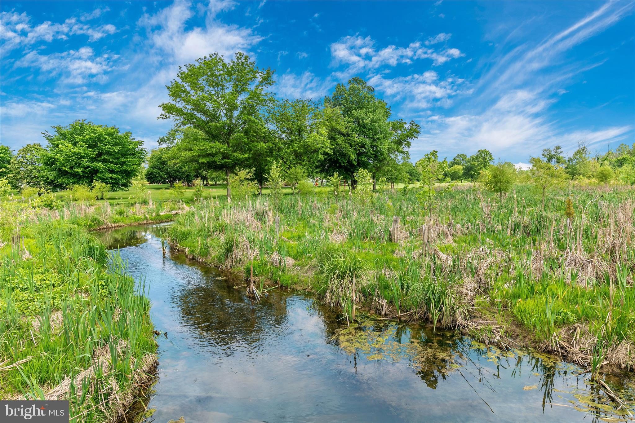 DOWNTOWN WOODSBORO - Residential