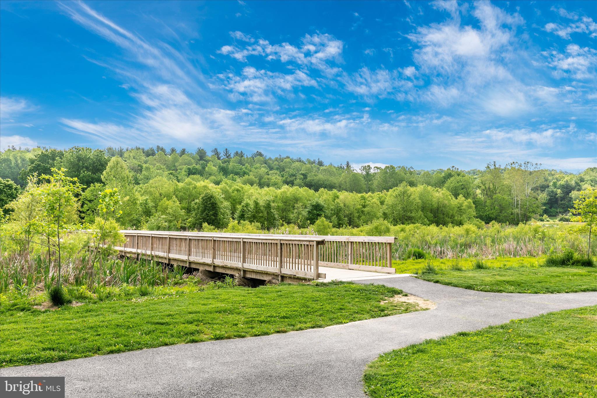 DOWNTOWN WOODSBORO - Residential