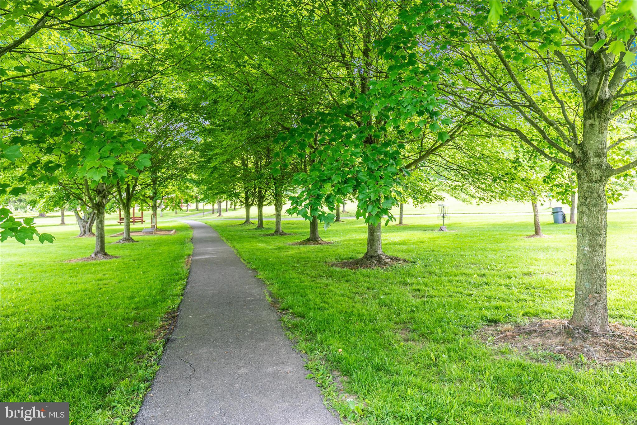 DOWNTOWN WOODSBORO - Residential