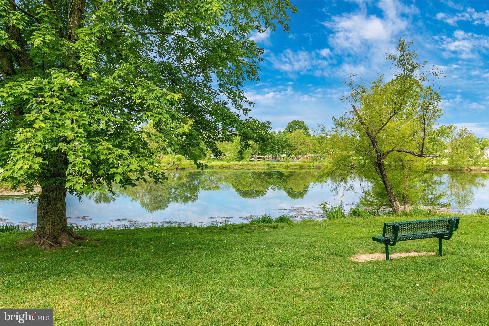 DOWNTOWN WOODSBORO - Residential