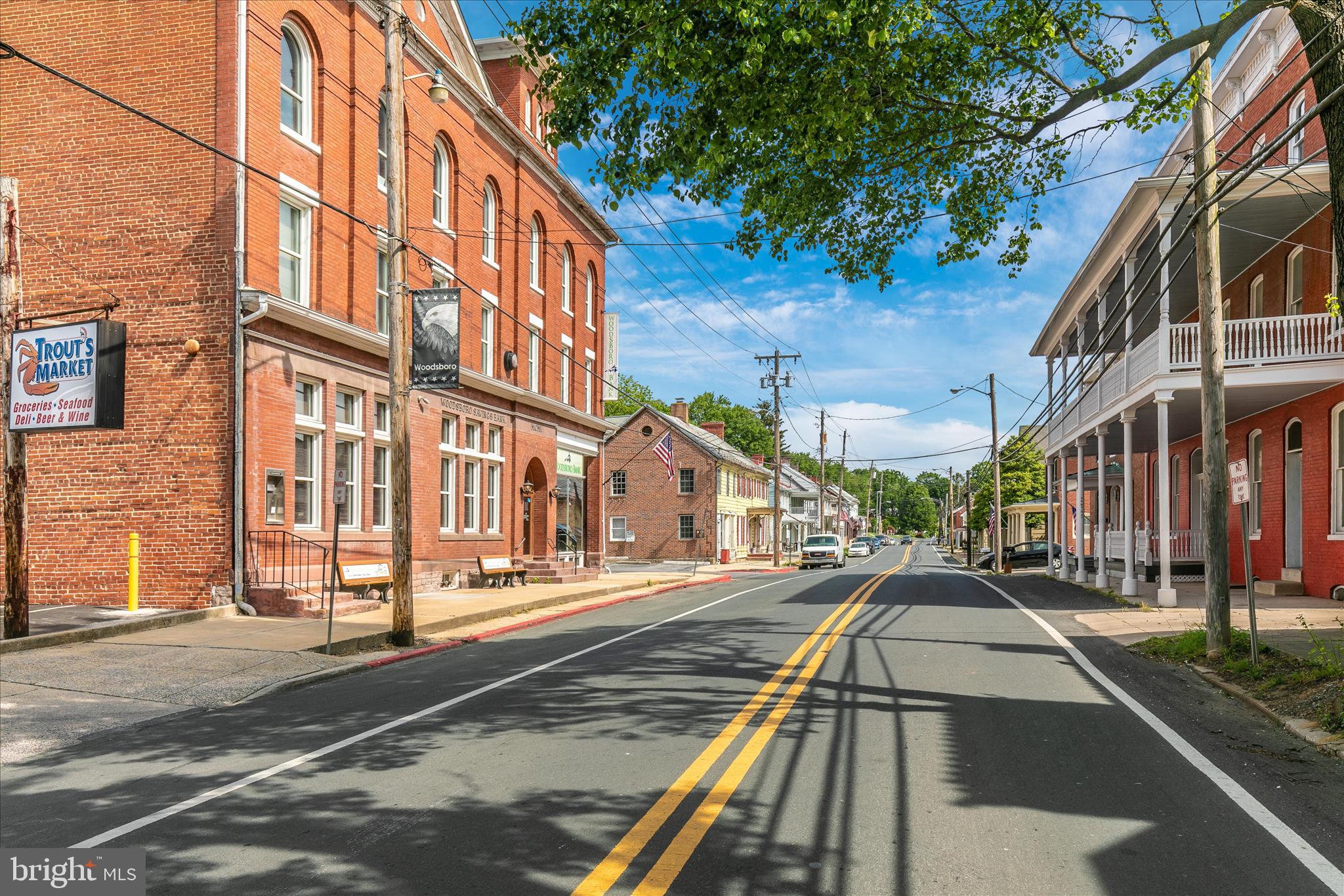 DOWNTOWN WOODSBORO - Residential