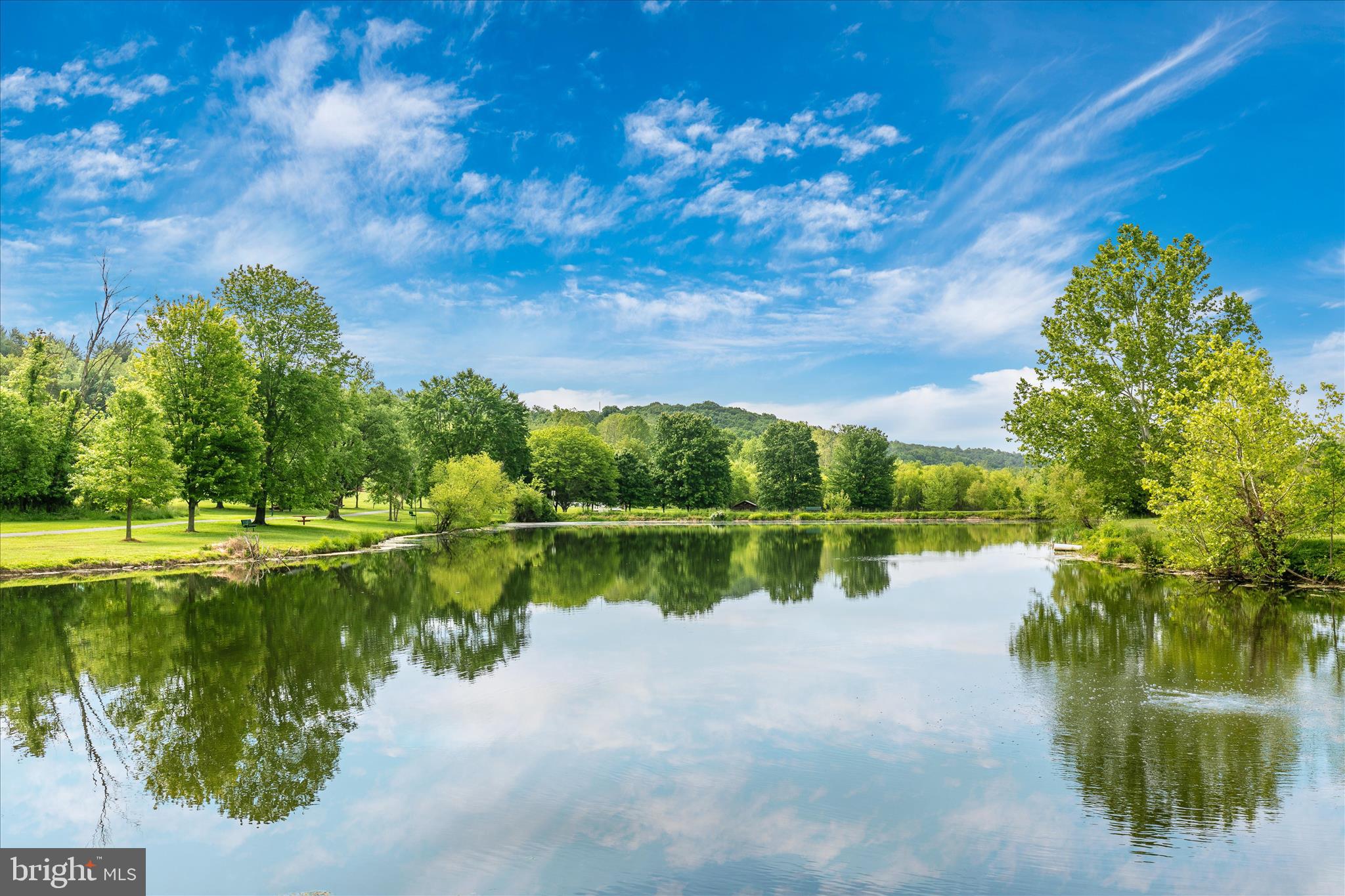 DOWNTOWN WOODSBORO - Residential