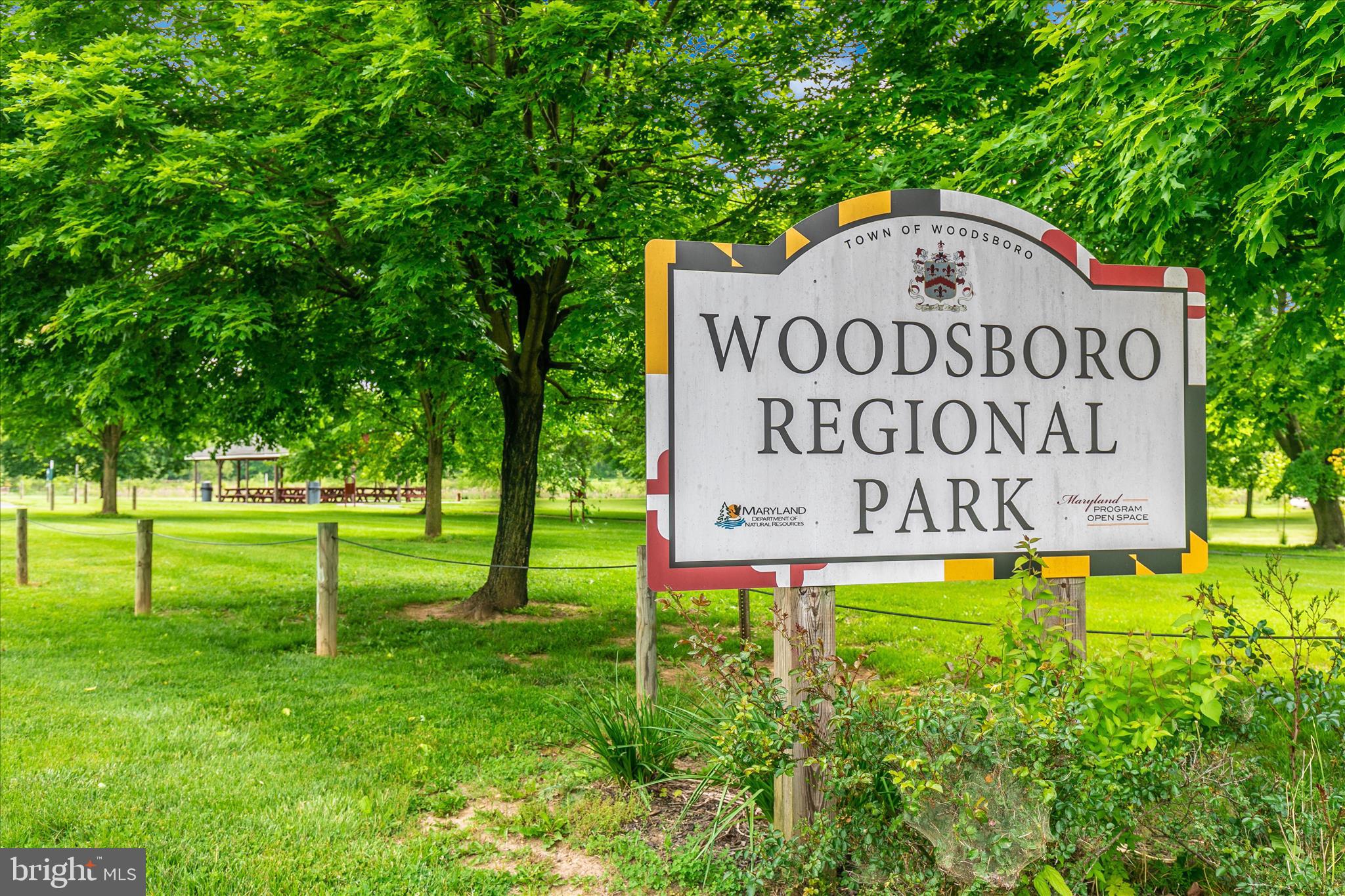 DOWNTOWN WOODSBORO - Residential