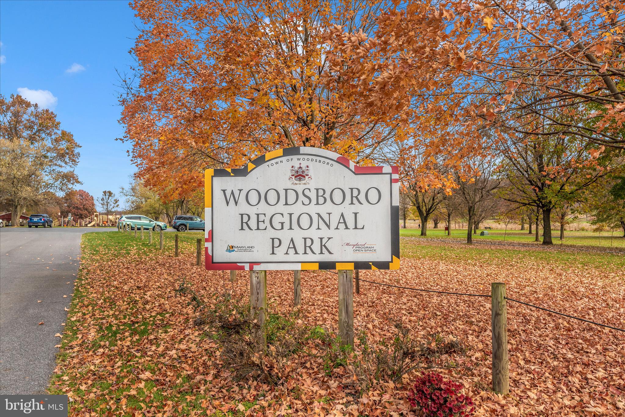 DOWNTOWN WOODSBORO - Residential