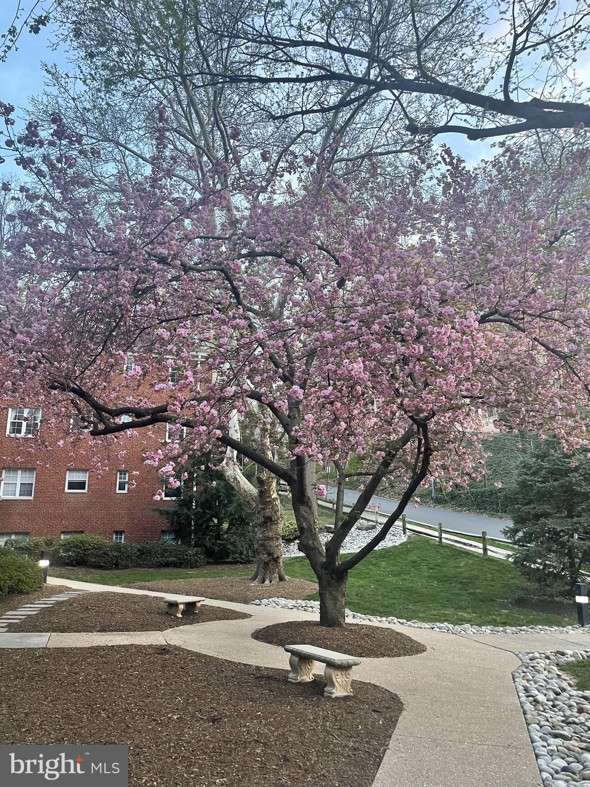 ROSSLYN HEIGHTS - Residential