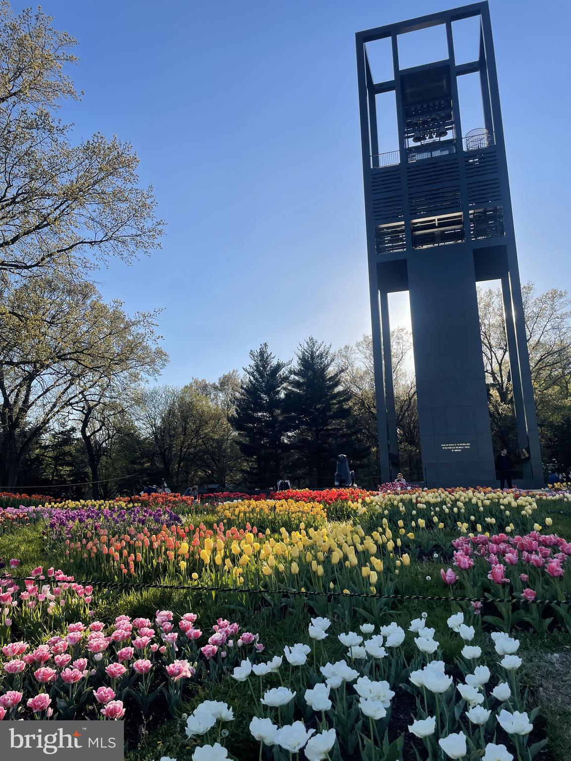 ROSSLYN HEIGHTS - Residential