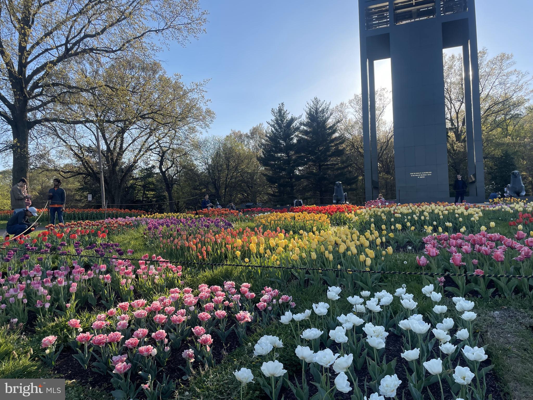 ROSSLYN HEIGHTS - Residential