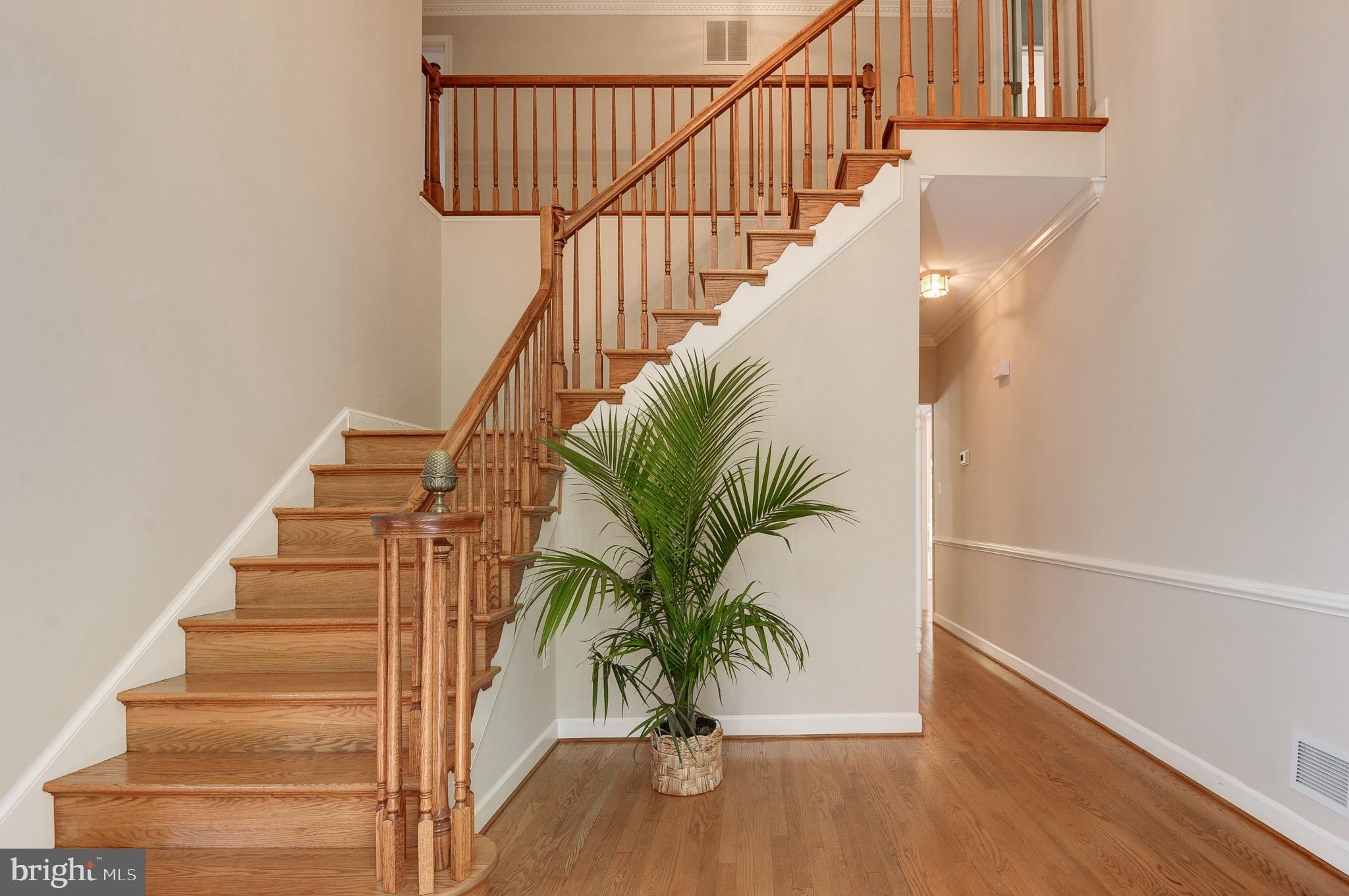 BEAR CREEK - Residential