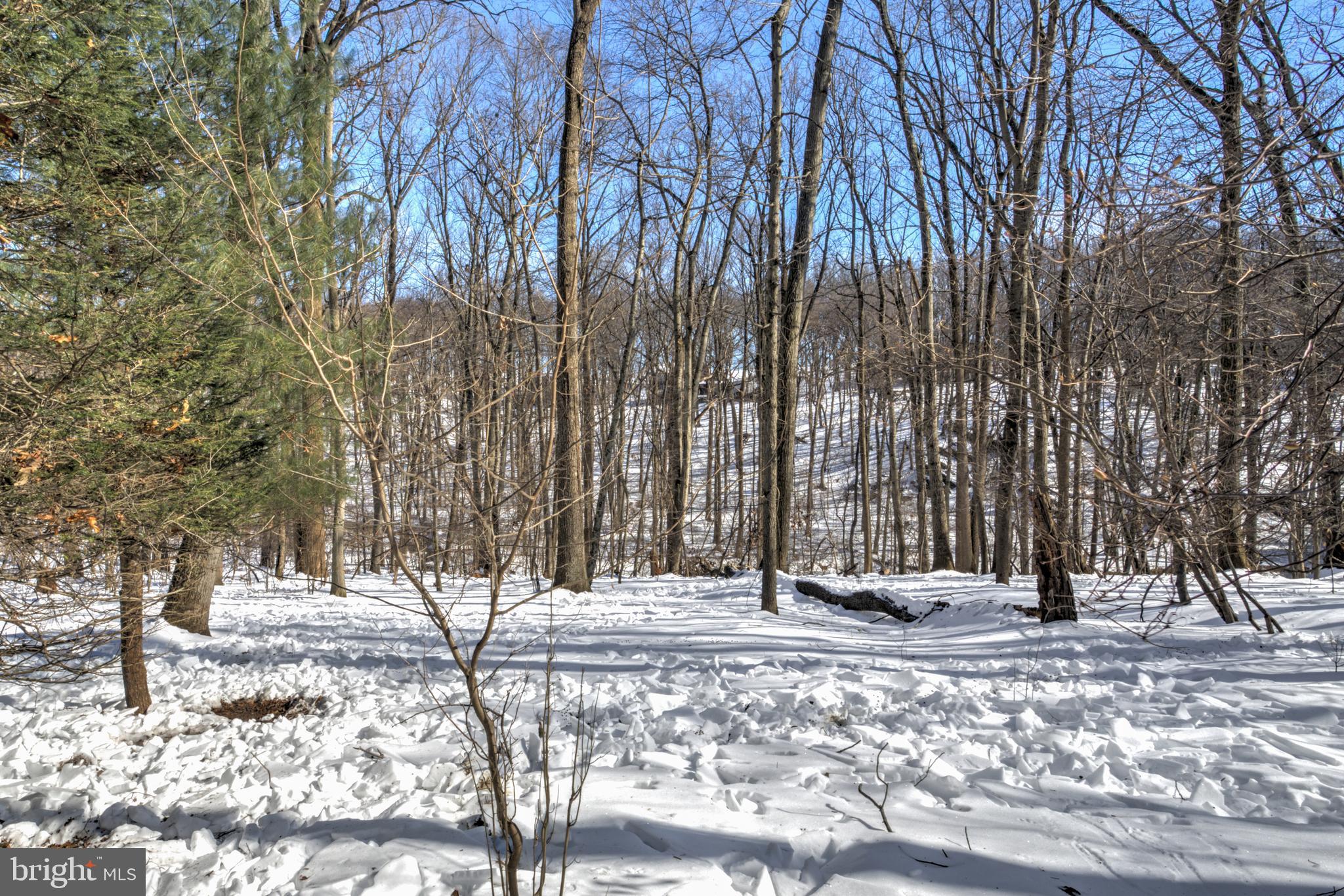 EAST DRUMORE TWP - Residential