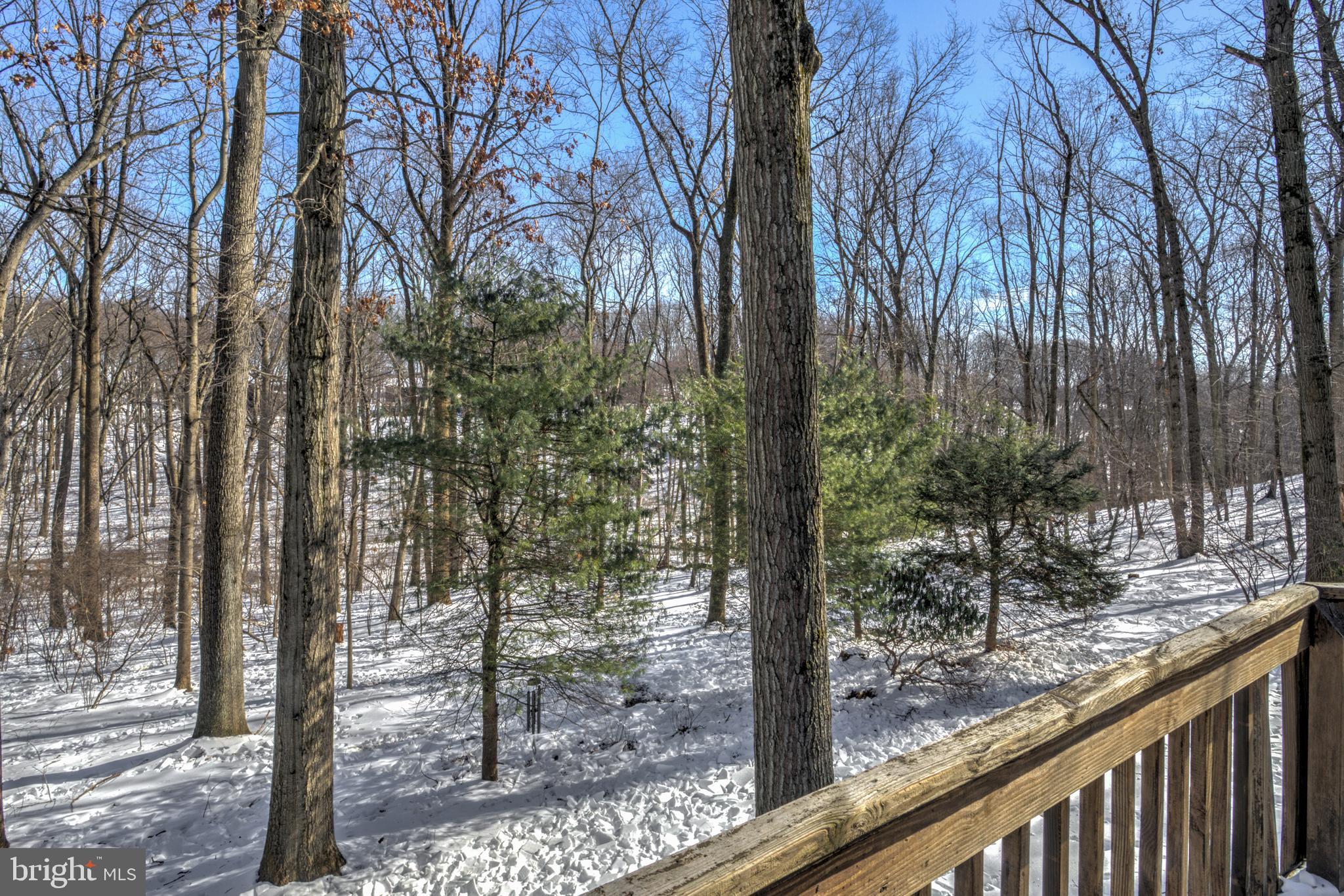 EAST DRUMORE TWP - Residential