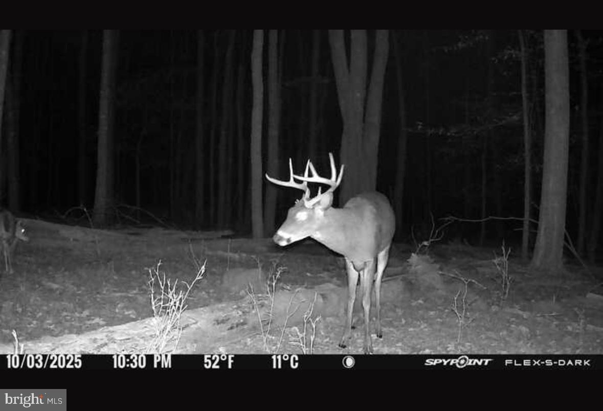 ACRES OF WHITETAIL - Residential