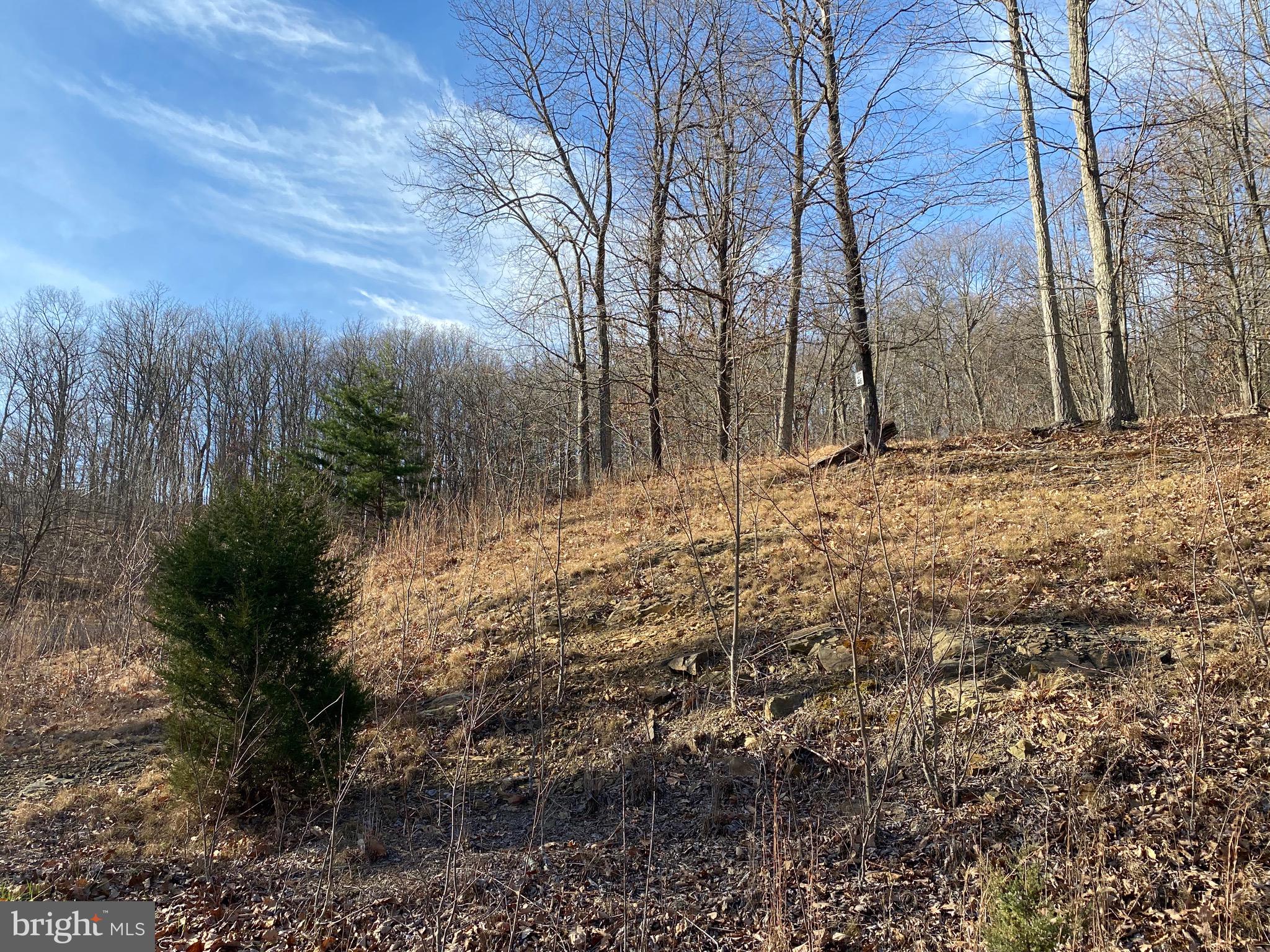 TROUT PASS PARK - Land