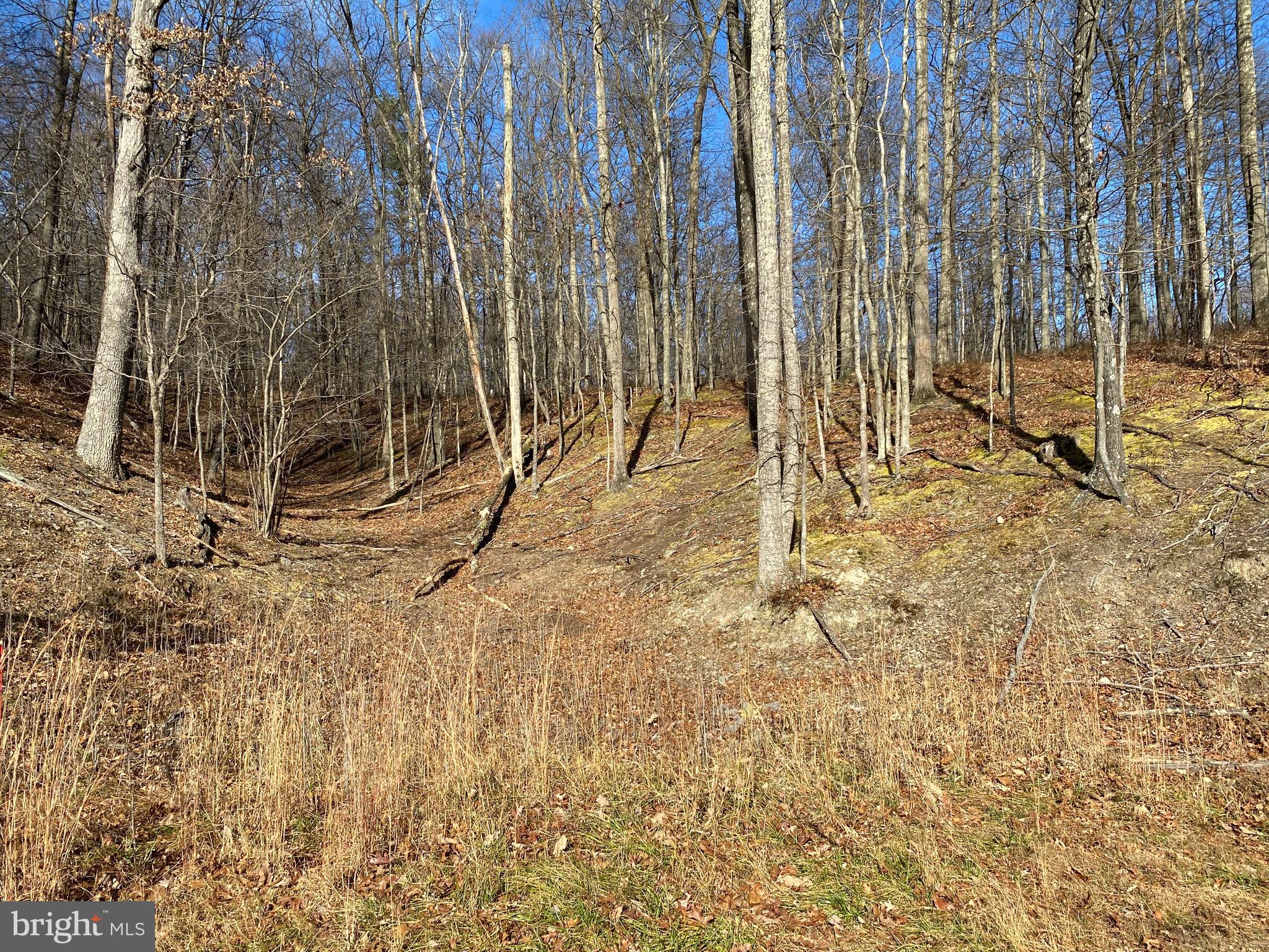 TROUT PASS PARK - Land