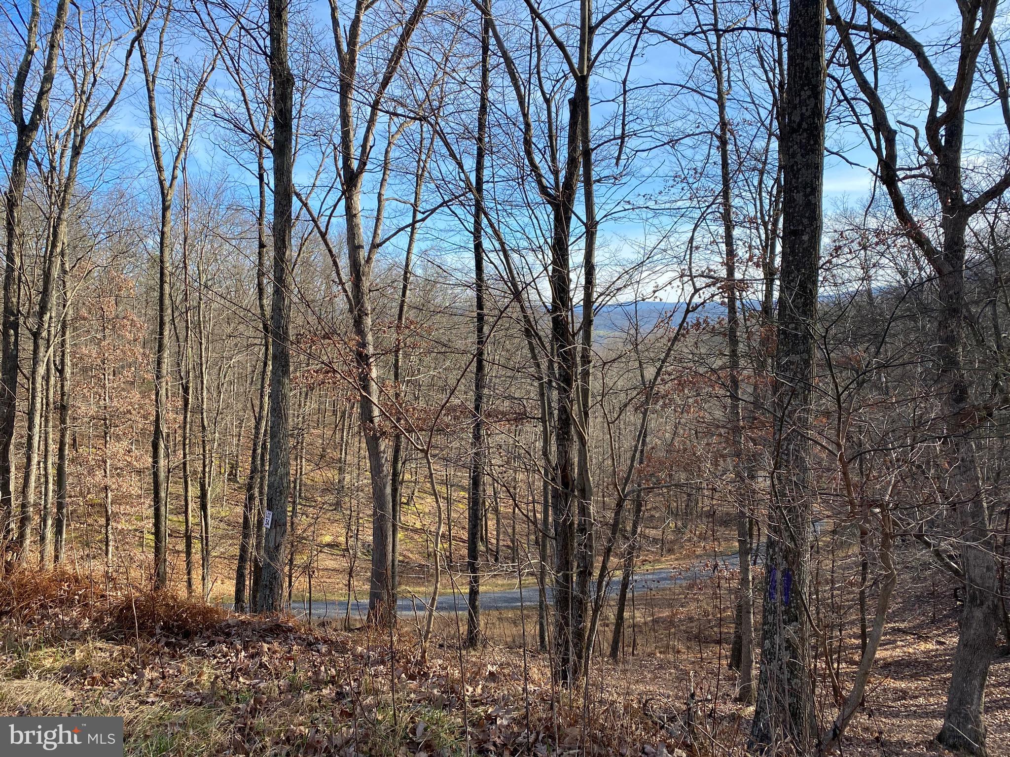 TROUT PASS PARK - Land