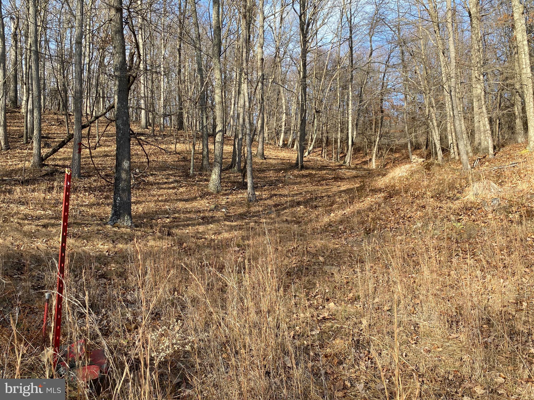 TROUT PASS PARK - Land