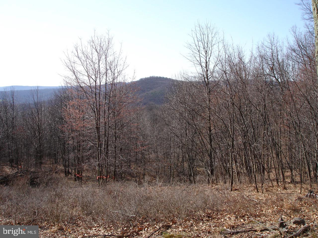 TROUT PASS PARK - Land