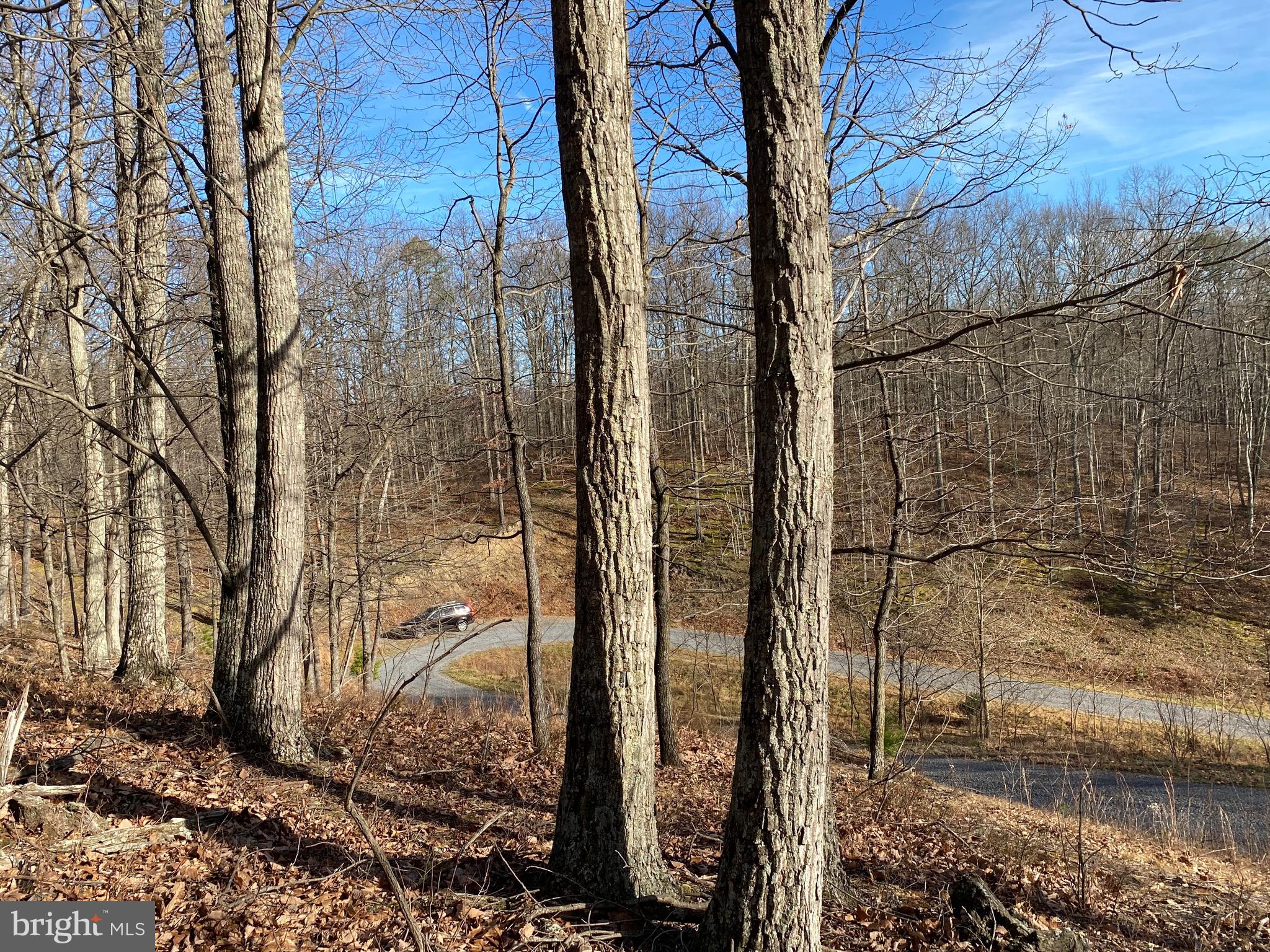 TROUT PASS PARK - Land