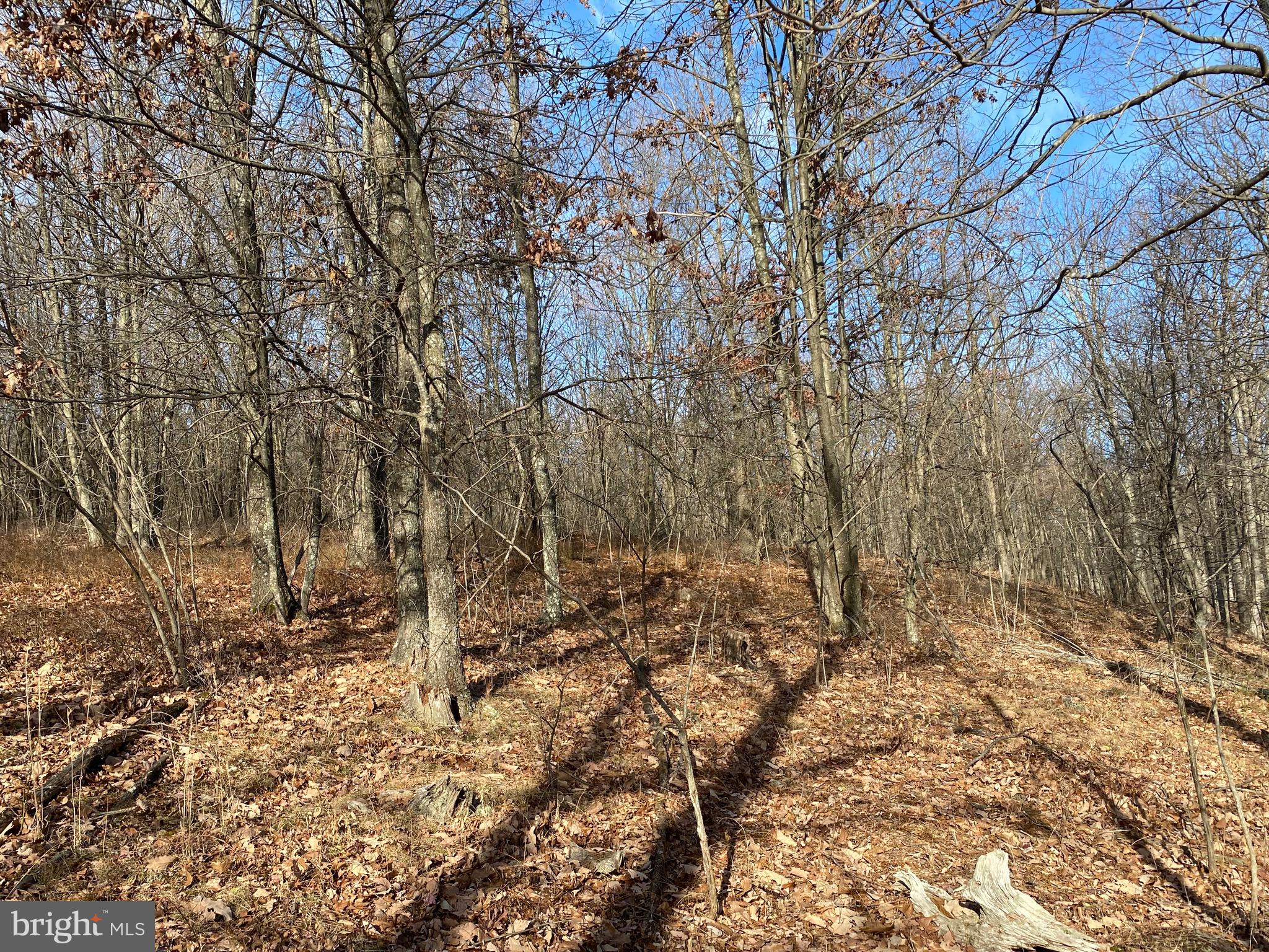 TROUT PASS PARK - Land