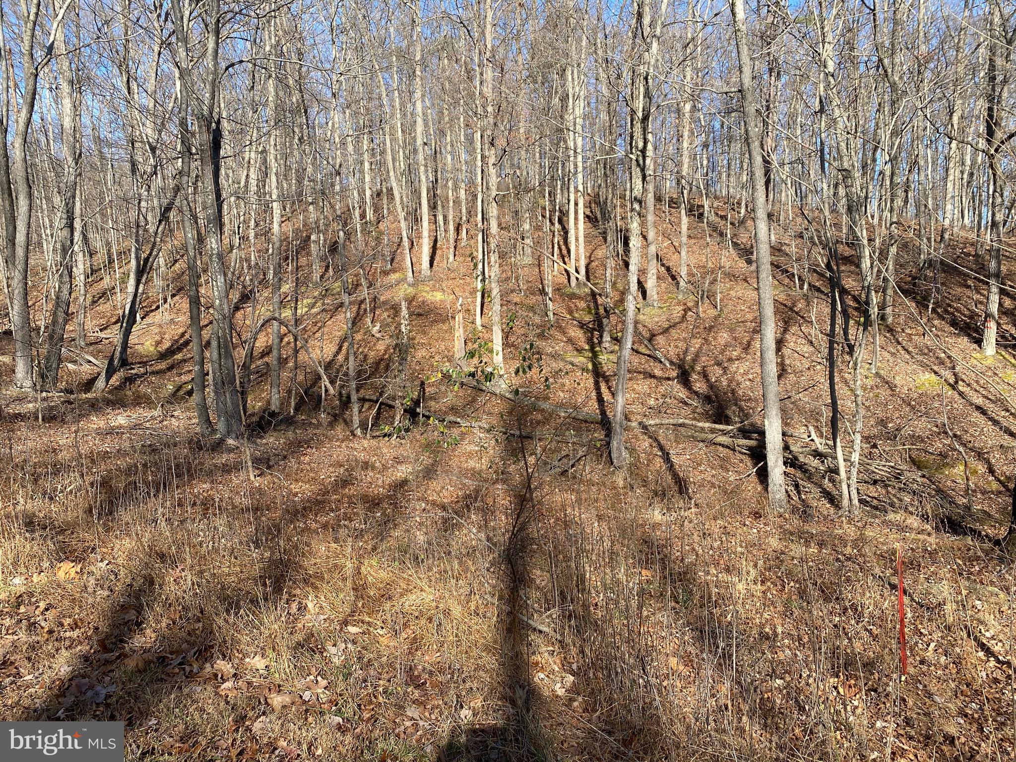 TROUT PASS PARK - Land