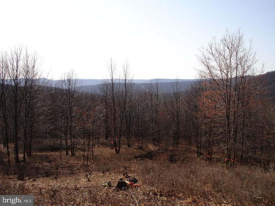 18.81 AC in private and quiet mountain subdivision.   Two Lots- 46 & 48.  Rolling terrain with mountain views and forested lot. Easy access to property.  Perfect spot for building your dream cabin. Recreation within 25 minutes include Kimsey Run Lake (10 Min), Lost River State Park (25 min), and Trout Pond Recreation Area (25min).   Minutes from Lost River community, 30 minutes from Wardensville.  Only 2.5 hours from Washington, DC area. Starlink Internet available mid to late 2021.