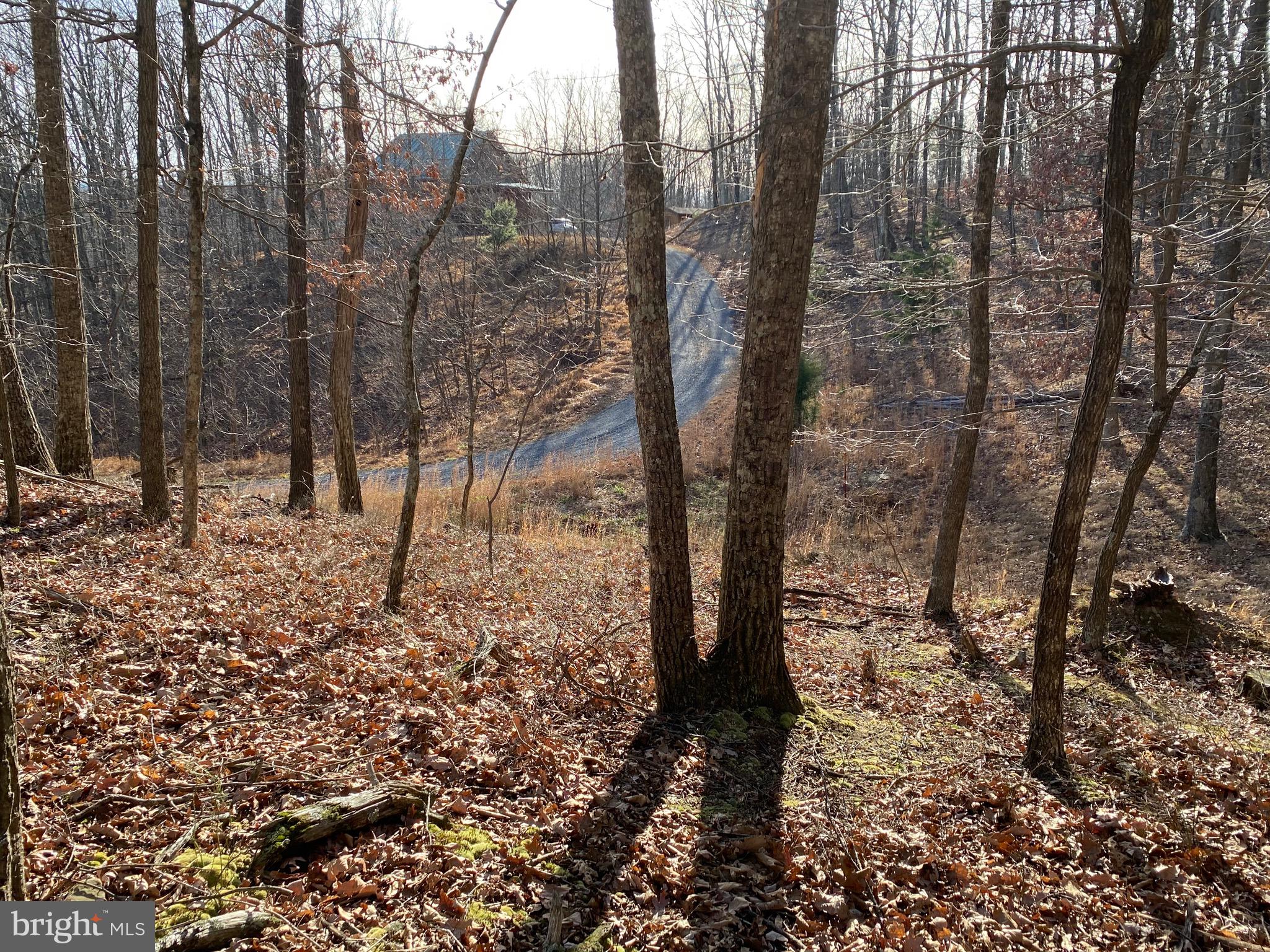 TROUT PASS PARK - Land