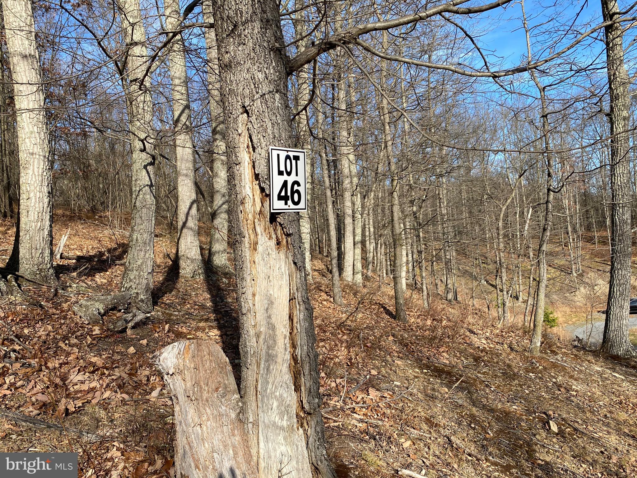 TROUT PASS PARK - Land