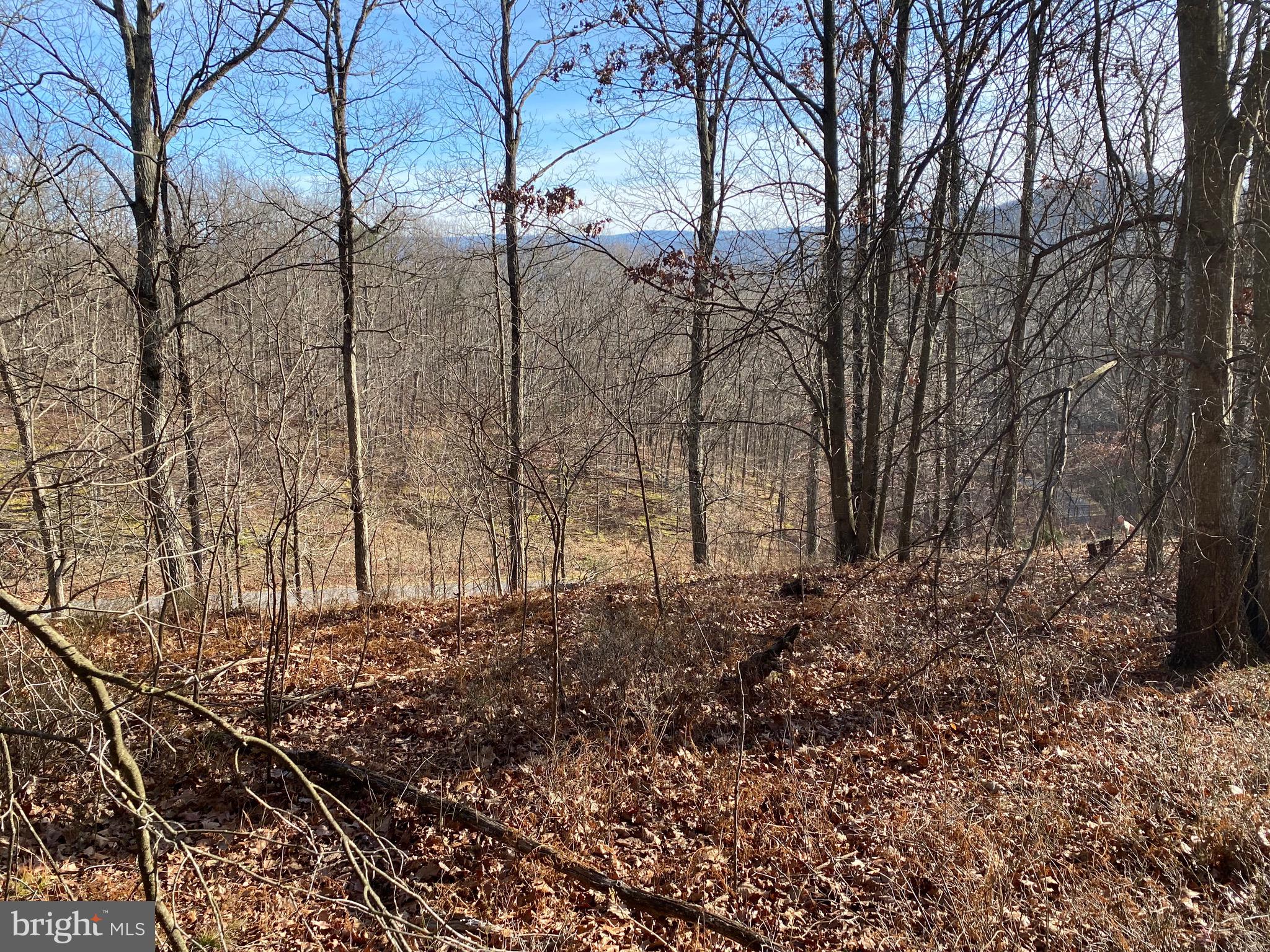 TROUT PASS PARK - Land