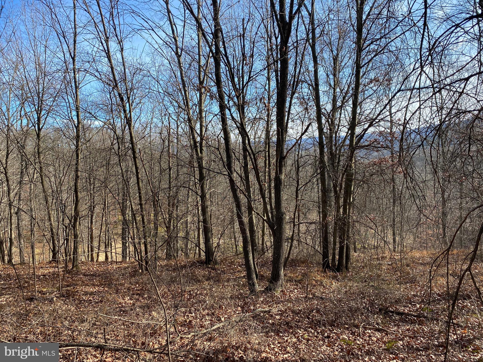 TROUT PASS PARK - Land