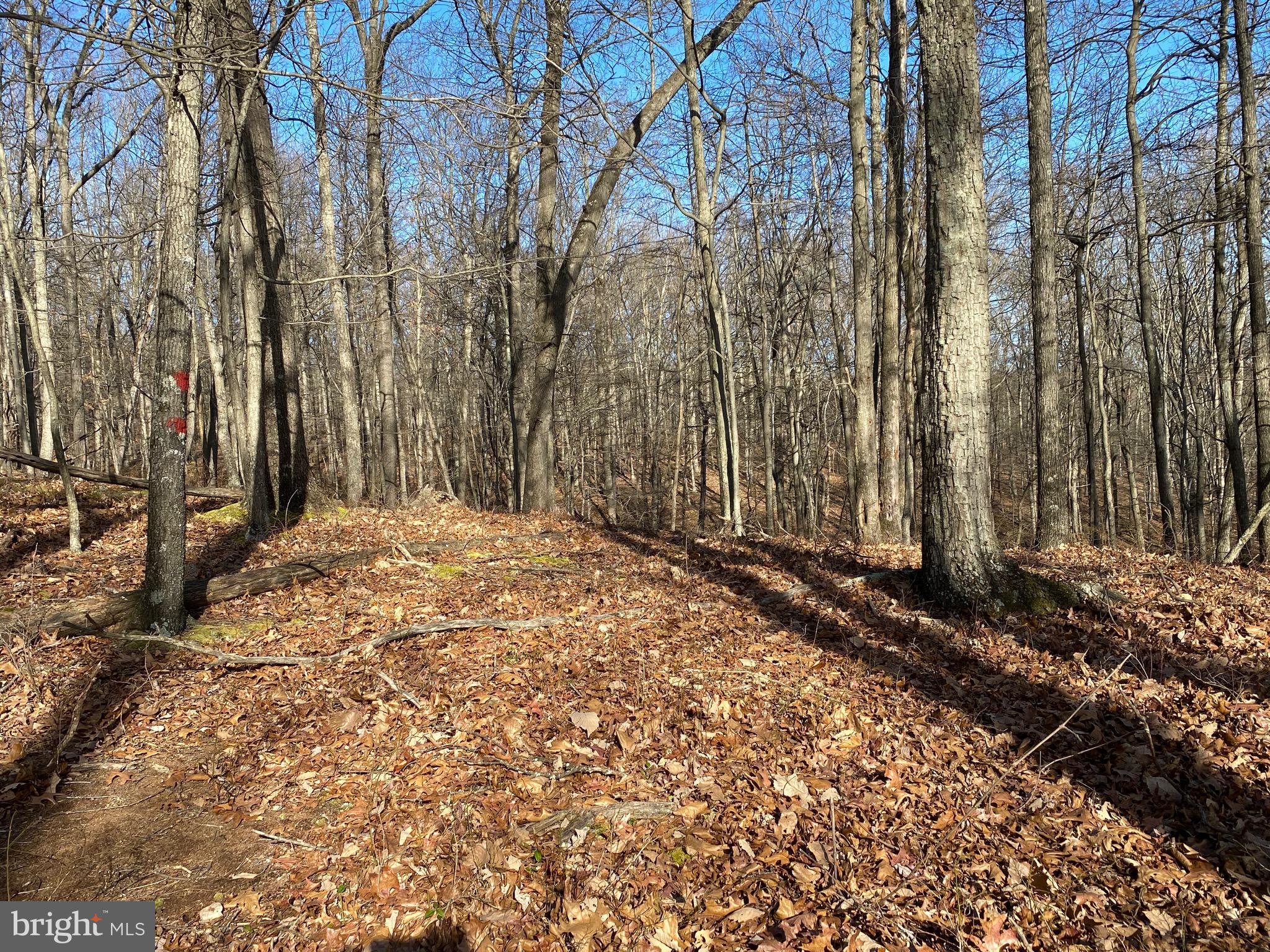 TROUT PASS PARK - Land