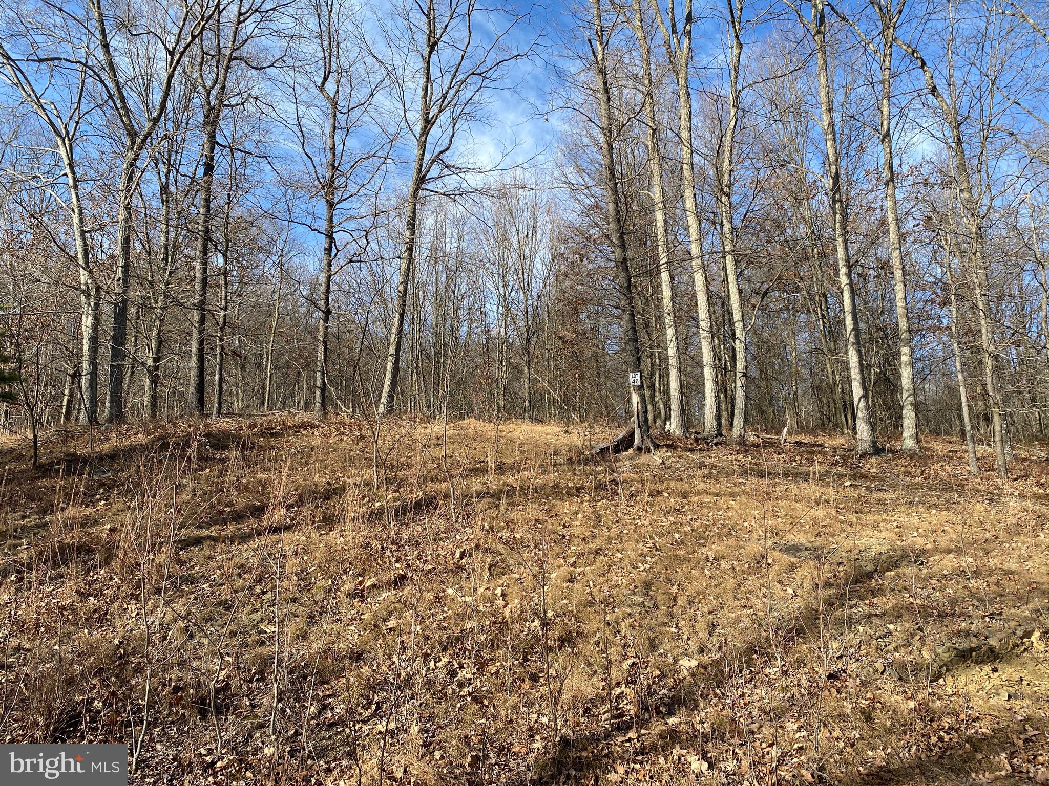TROUT PASS PARK - Land