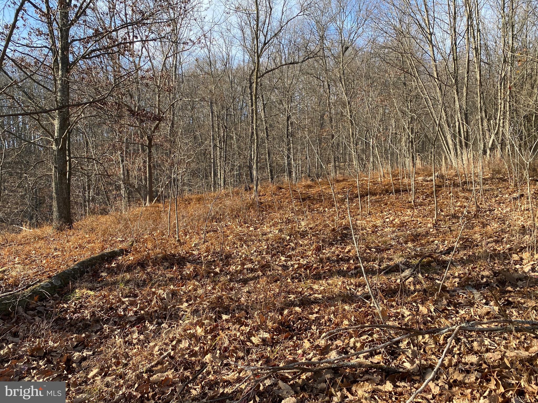 TROUT PASS PARK - Land