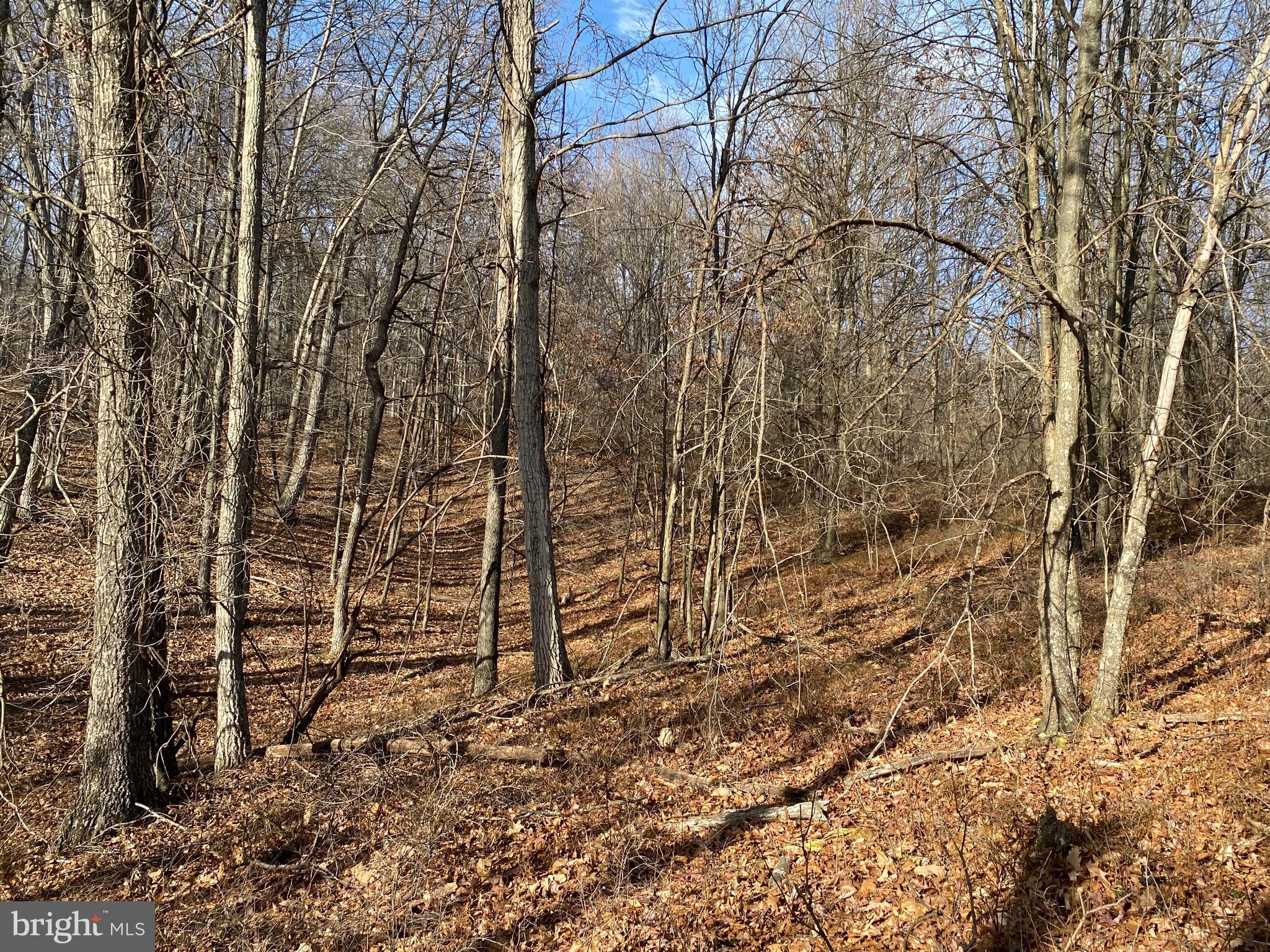 TROUT PASS PARK - Land