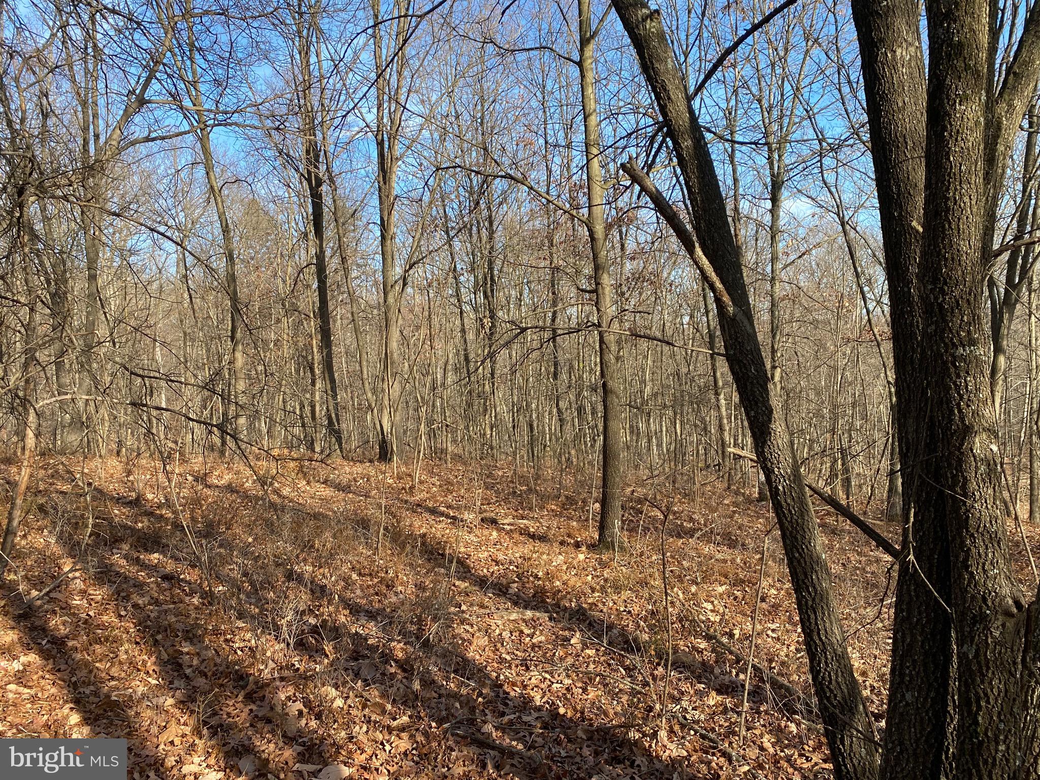 TROUT PASS PARK - Land