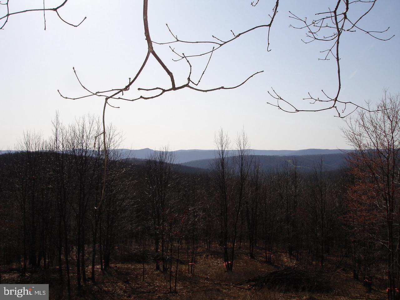 TROUT PASS PARK - Land